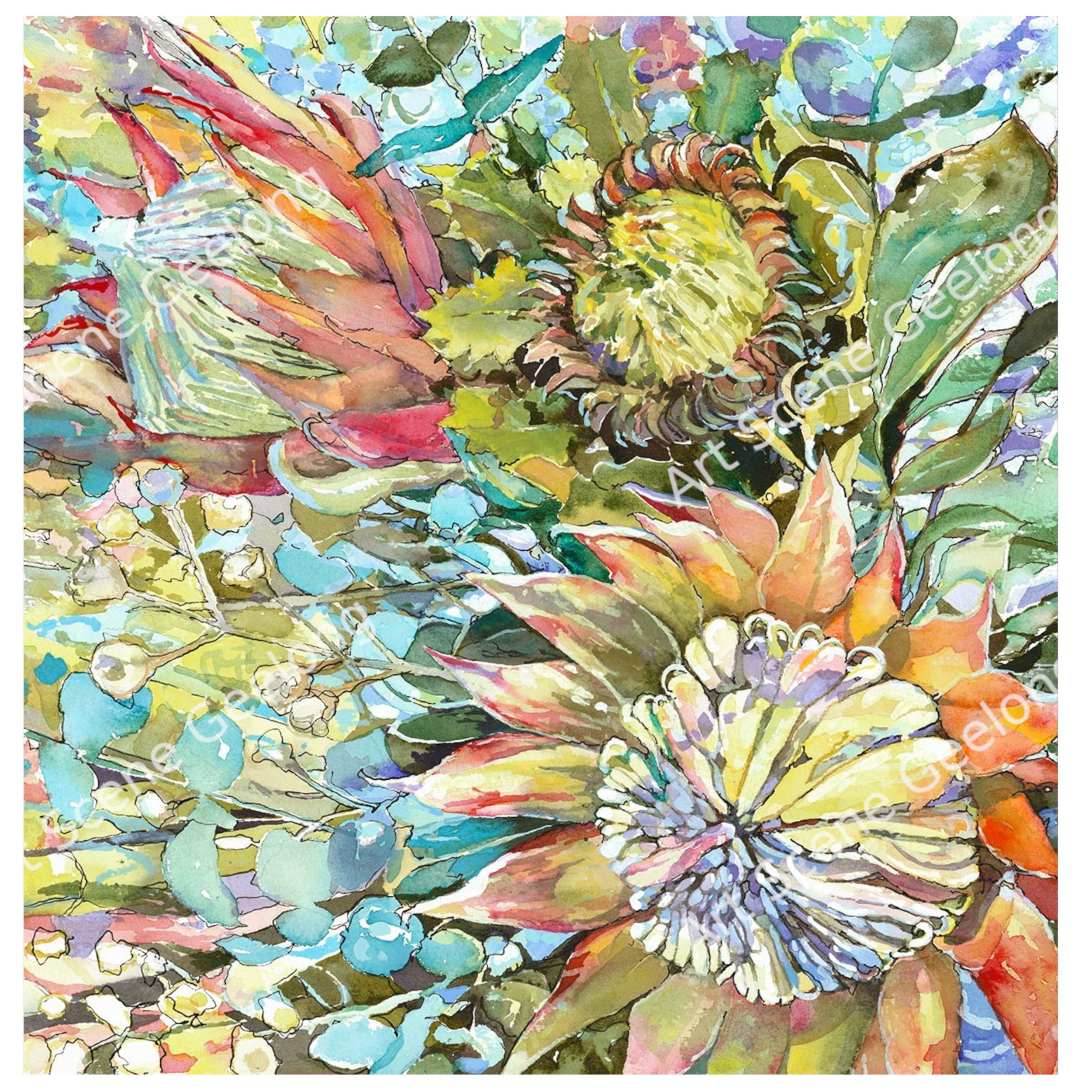 Proteaceae - Annie Finkelde