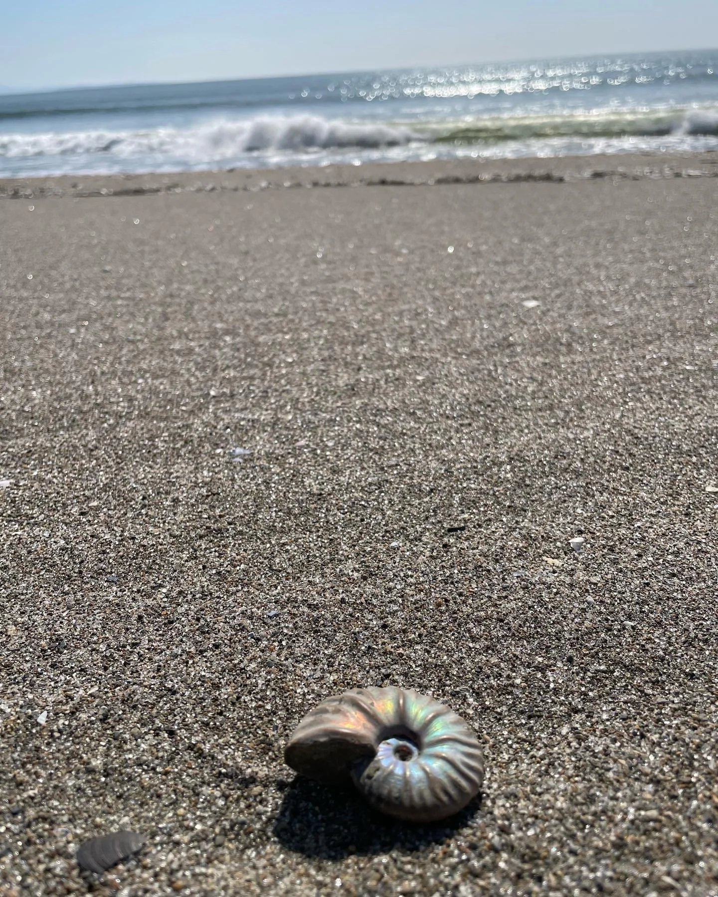 ちょっと思い返して見てほしいんだけど、あなたは38億年前どこでどうしてました？

なんてね。

地球に生命が誕生したのが38億年ほど前と言われているそうで。

今ある命、生きている全ての存在がそれ以来、ずっと途切れることなく紡がれて今を生きているってことを時々思い出して、今日も生きてます。

あ、空気がおいしい。