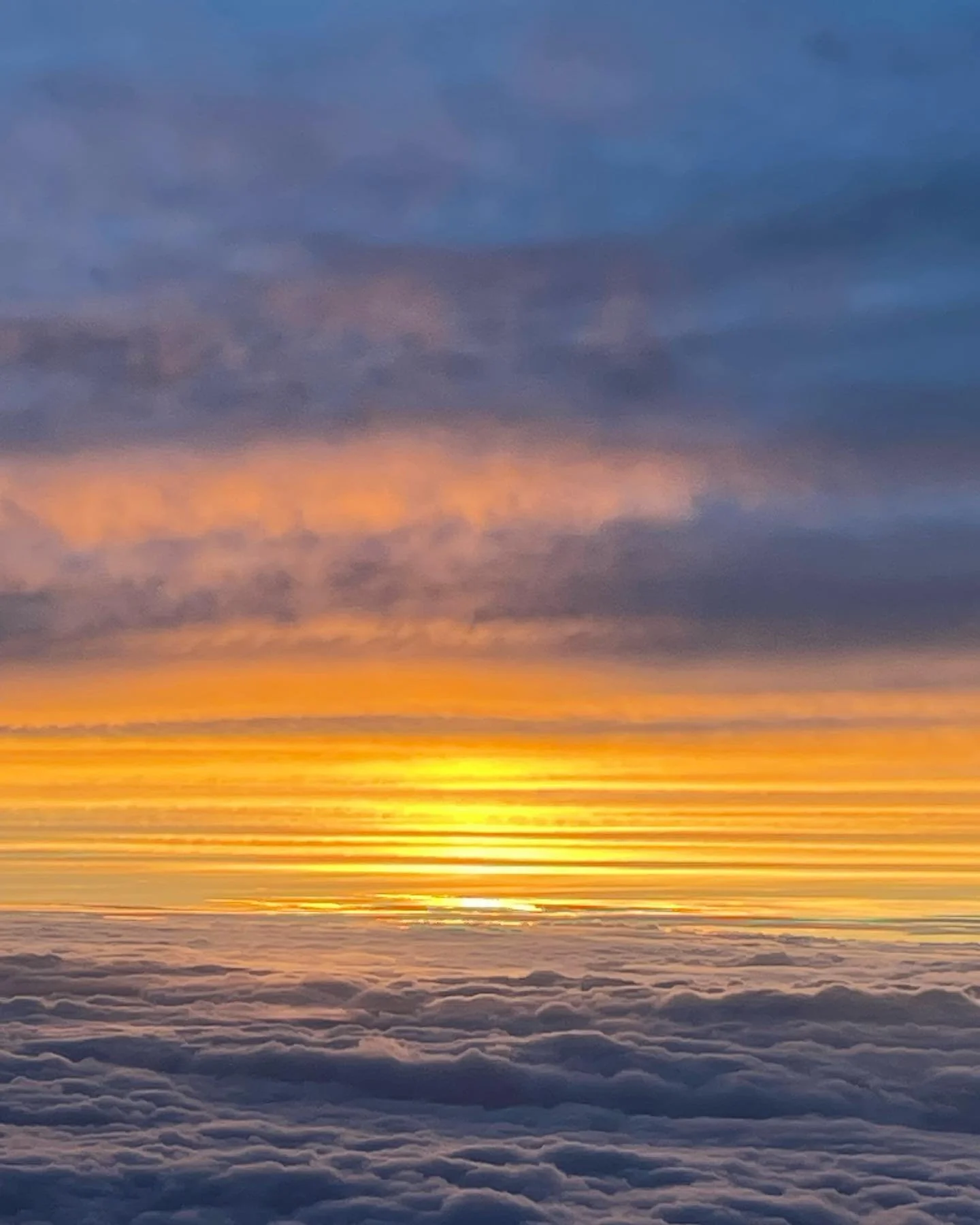 伝統医学アーユルヴェーダの基礎となる五大元素。水の元素、火の元素、風の元素、空の元素、あともう一つはなんでしょう？