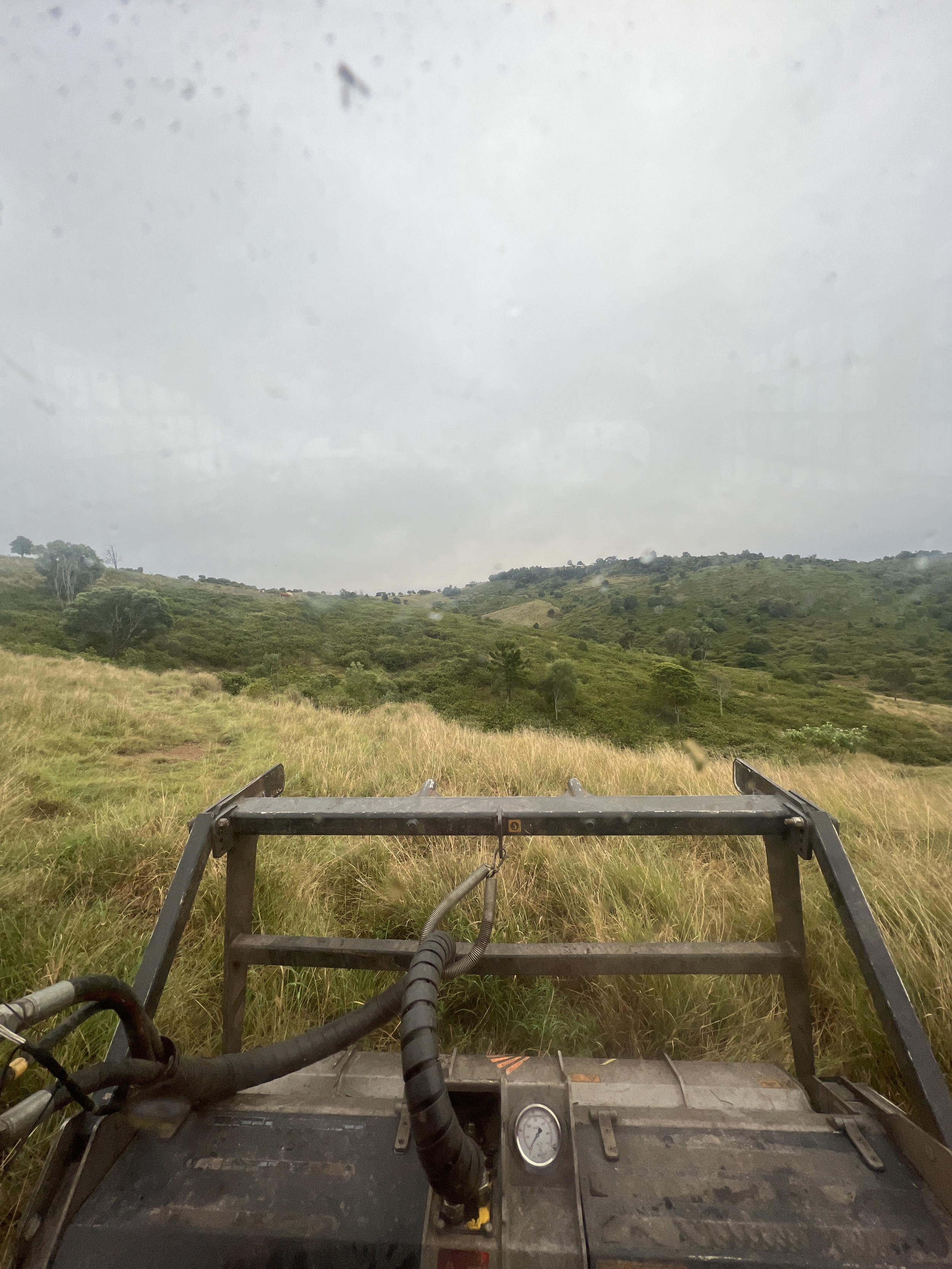 A view from the cab of a mulching machine looking out over rolling hills densely covered in lantana and invasive scrub, with dry grass in the foreground and overcast skies above.