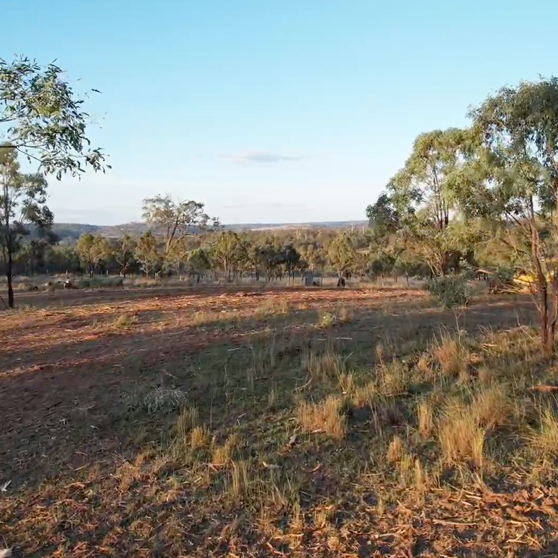 Cleared land using mulching allows selective clearing.