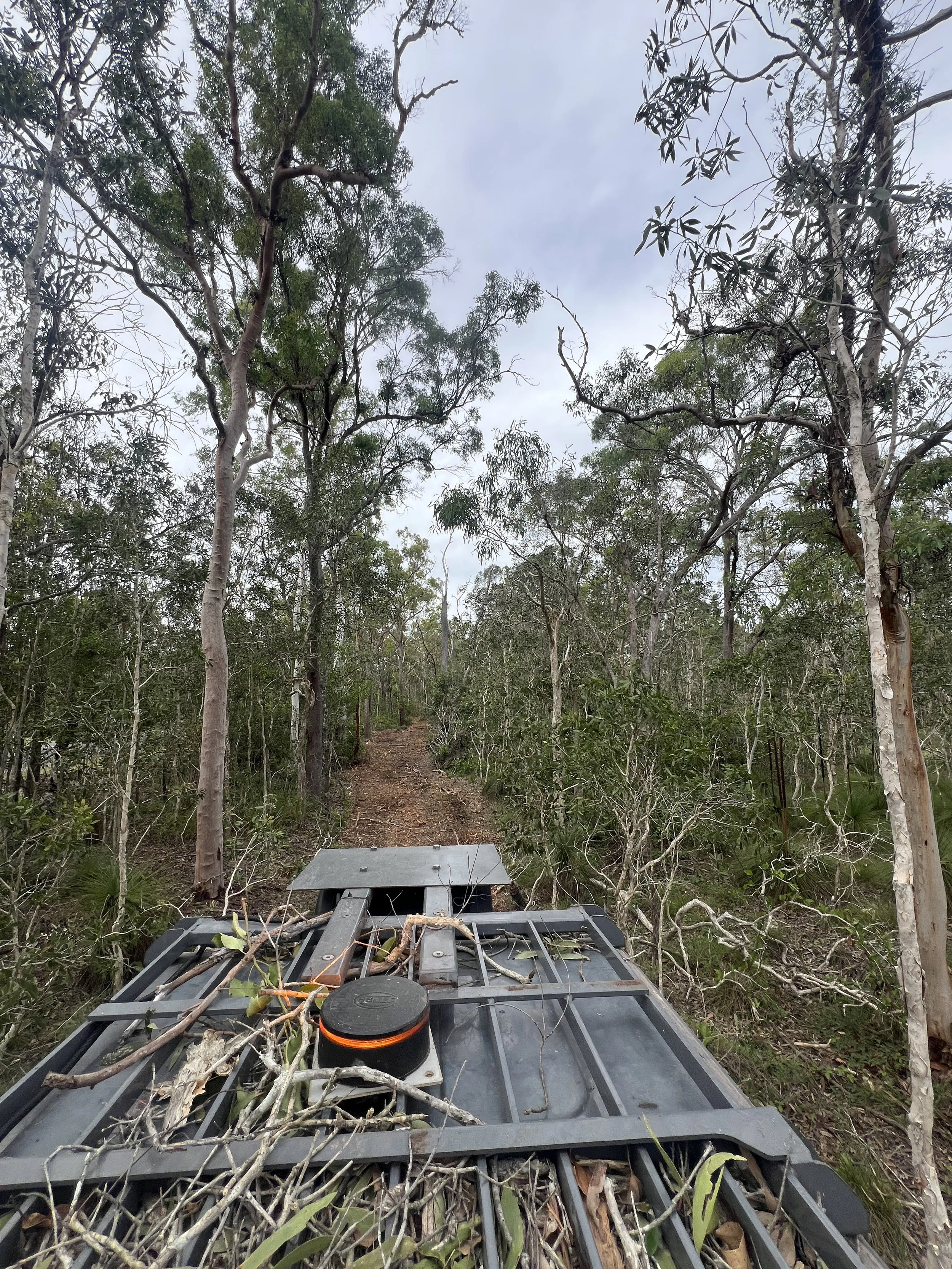 View from the front of a tree clearing trail with the front of a vehicle, possibly a pickup truck, debris on top, and dense trees and cloudy sky in the background.