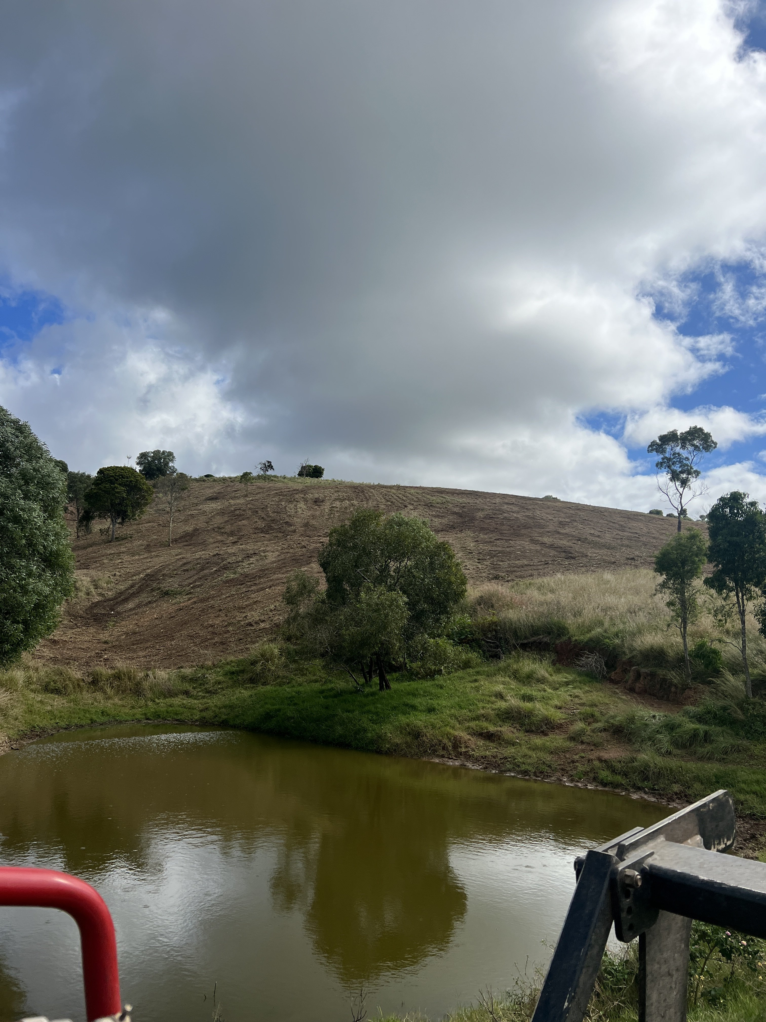 A hillside paddock photographed from across a small dam, showing freshly mulched ground with a clean, even layer of organic matter covering the slope. Mature trees are retained along the edges, and the sky above is partly cloudy.