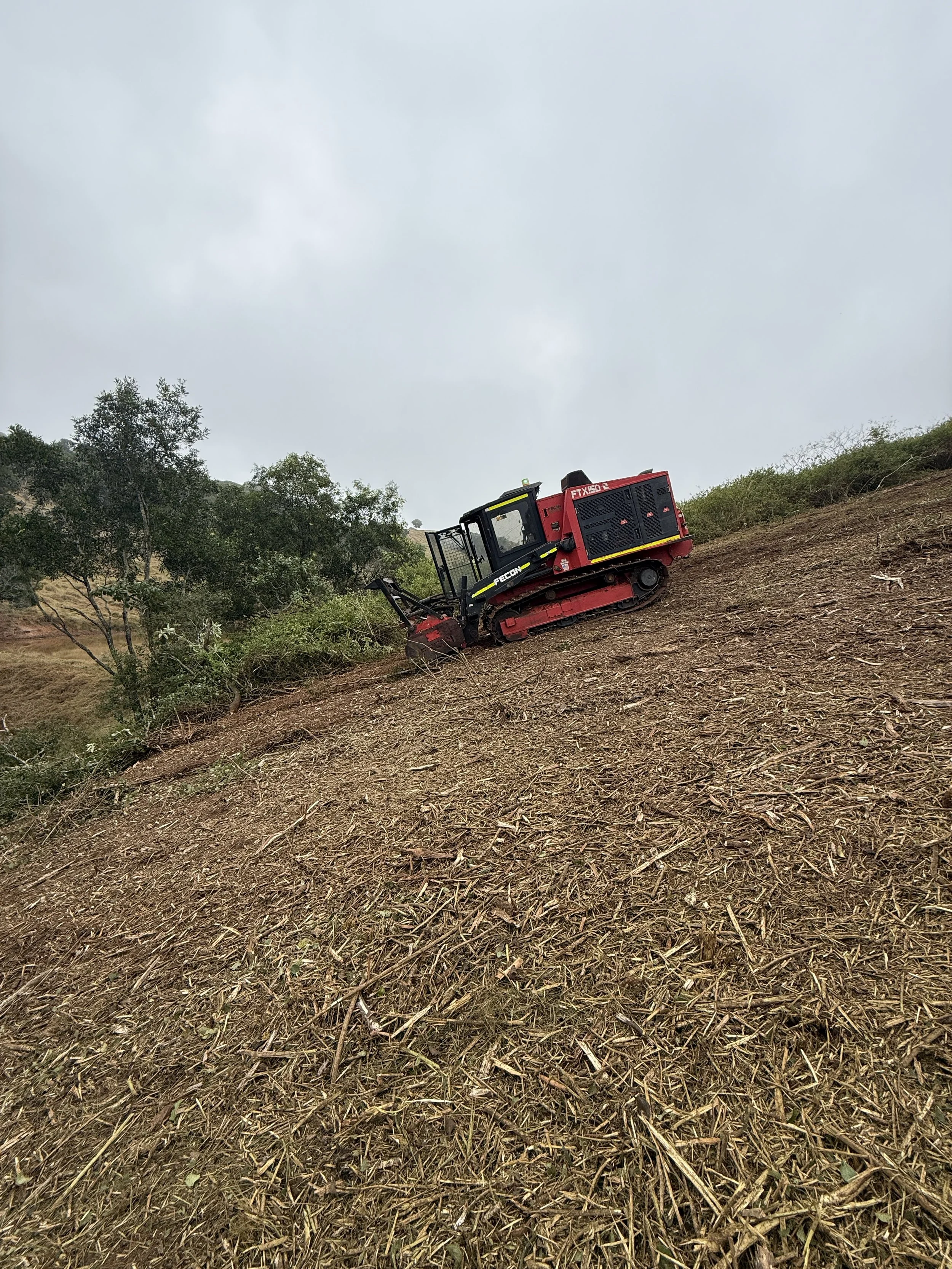 Fecon FTX150-2 tracked forestry mulcher working across a sloped block in South East Queensland, with a clean mulch layer covering the hillside and remnant vegetation along the left boundary.