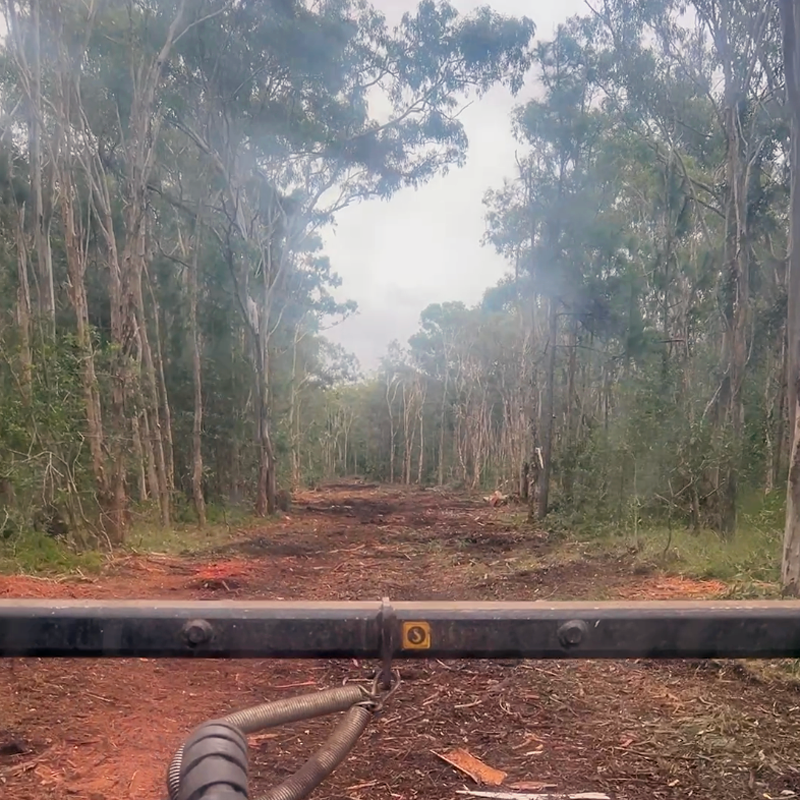 Cleared buffer zone to reduce fuel load and bushfire risk.