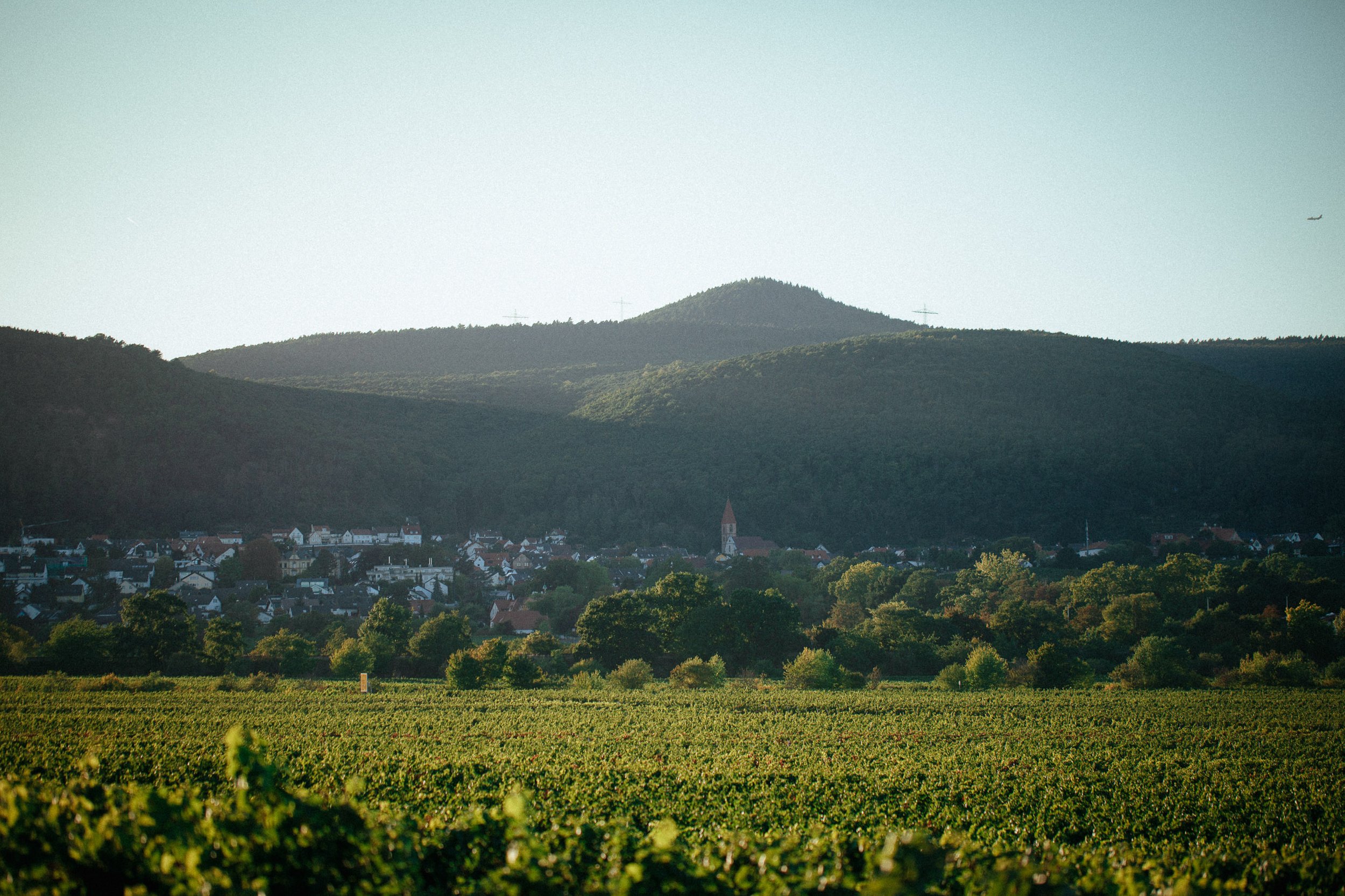 Natürlichkeit, die man schmeckt.