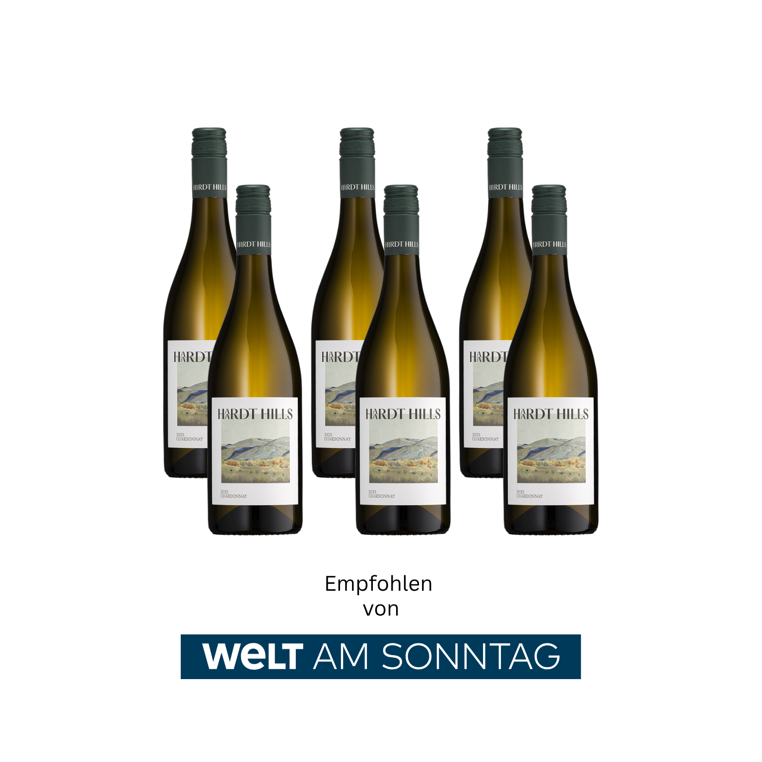 6er WEINPAKET | 2025 CHARDONNAY ALKOHOLFREI | OHNE VERSANDKOSTEN