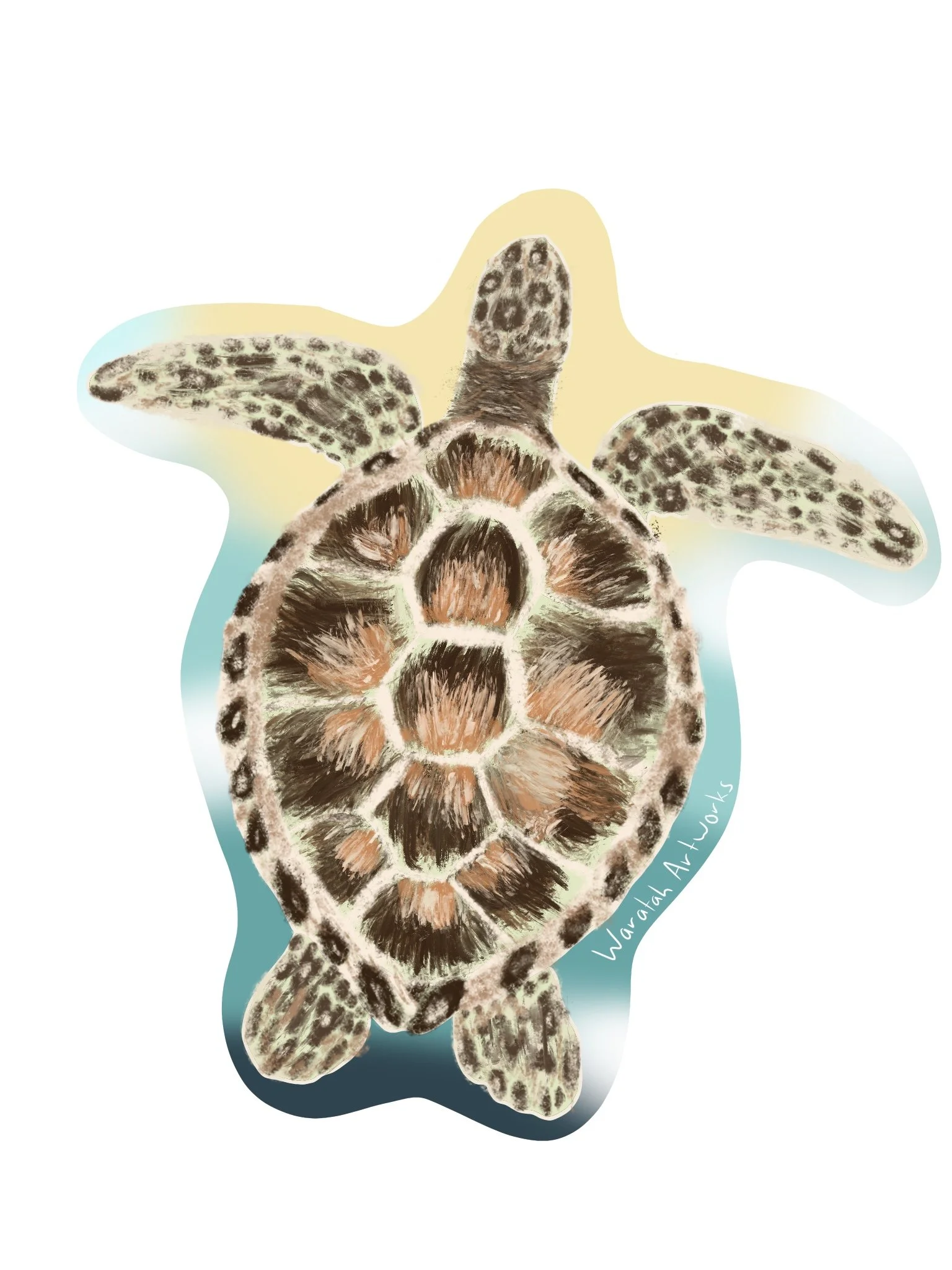 Turtle Sticker