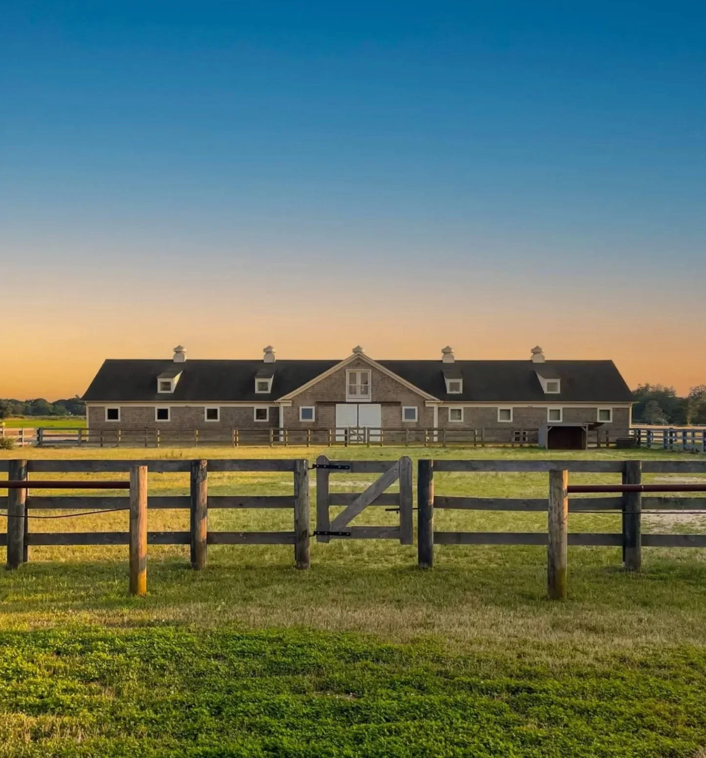 Screenshot 2025-03-09 at 5.38.37 PM.jpg