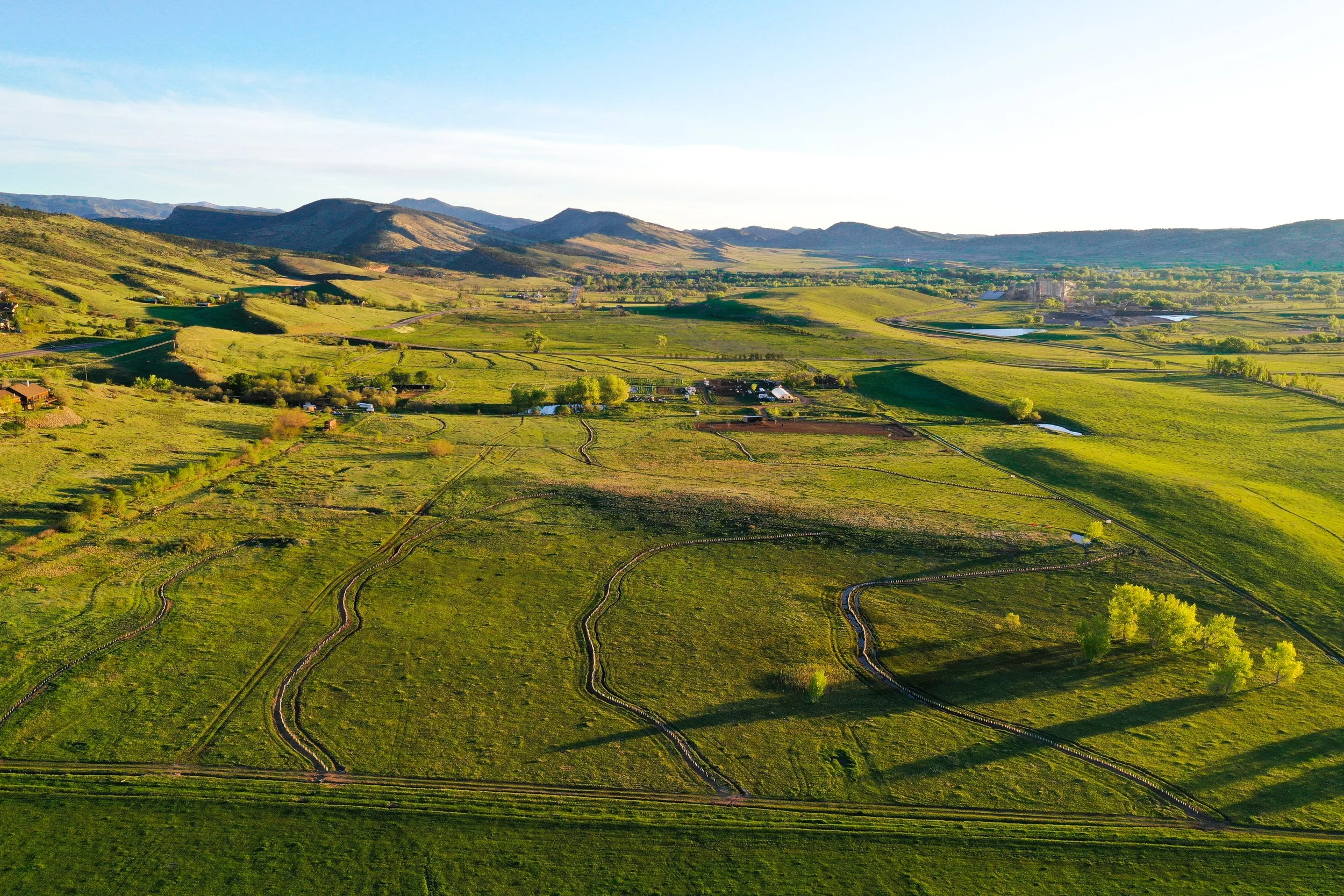 Agroforestry-Tree Planting-Metacarbon.jpg
