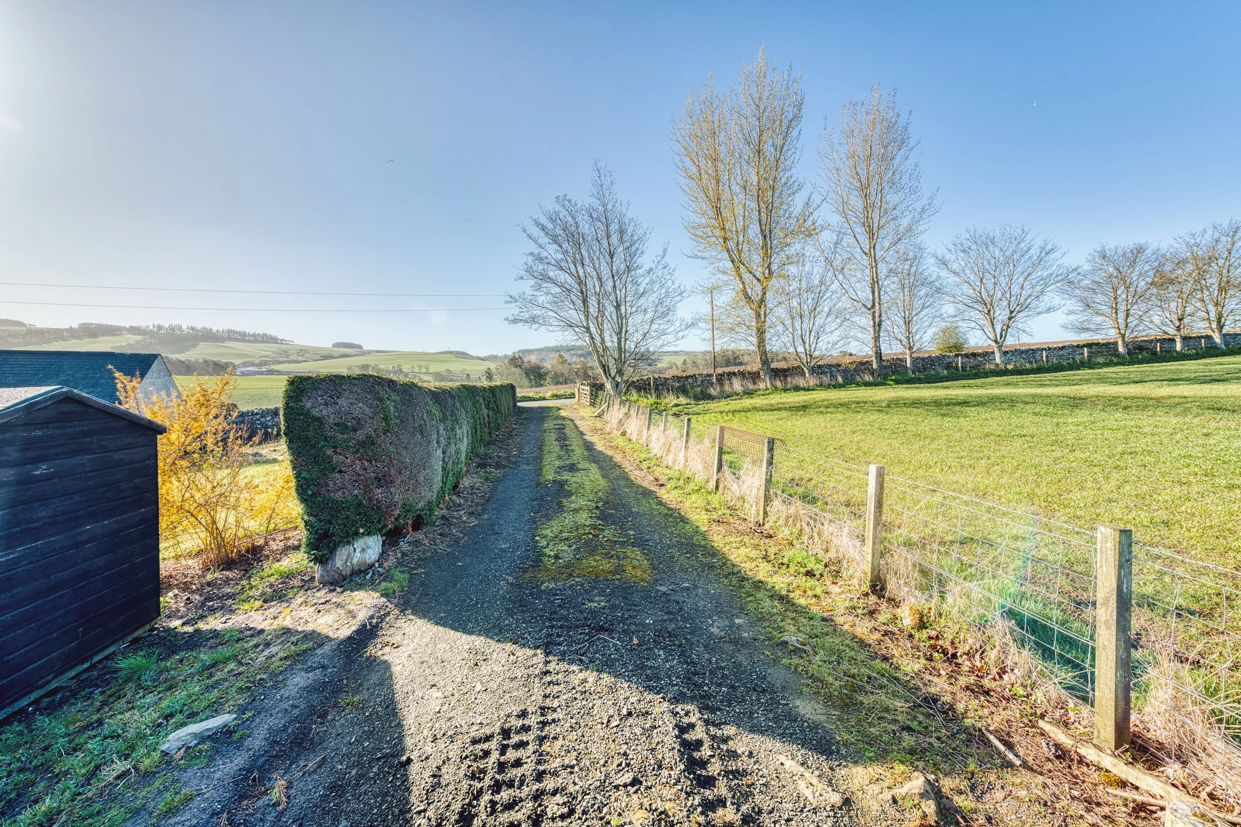 DSC_4558_HDR-5.jpg