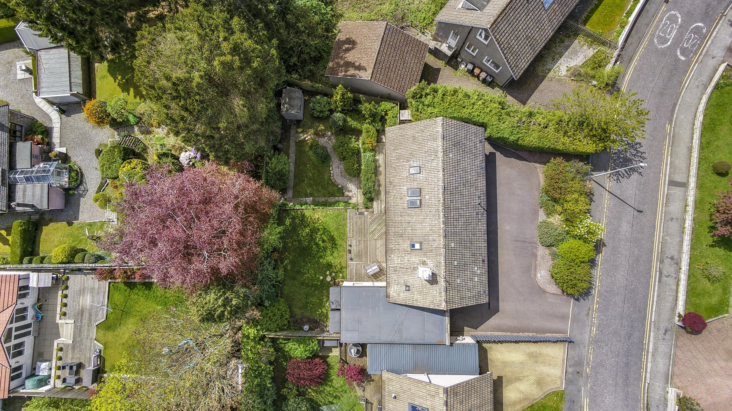 DJI_20260504133505_0256_D.jpg