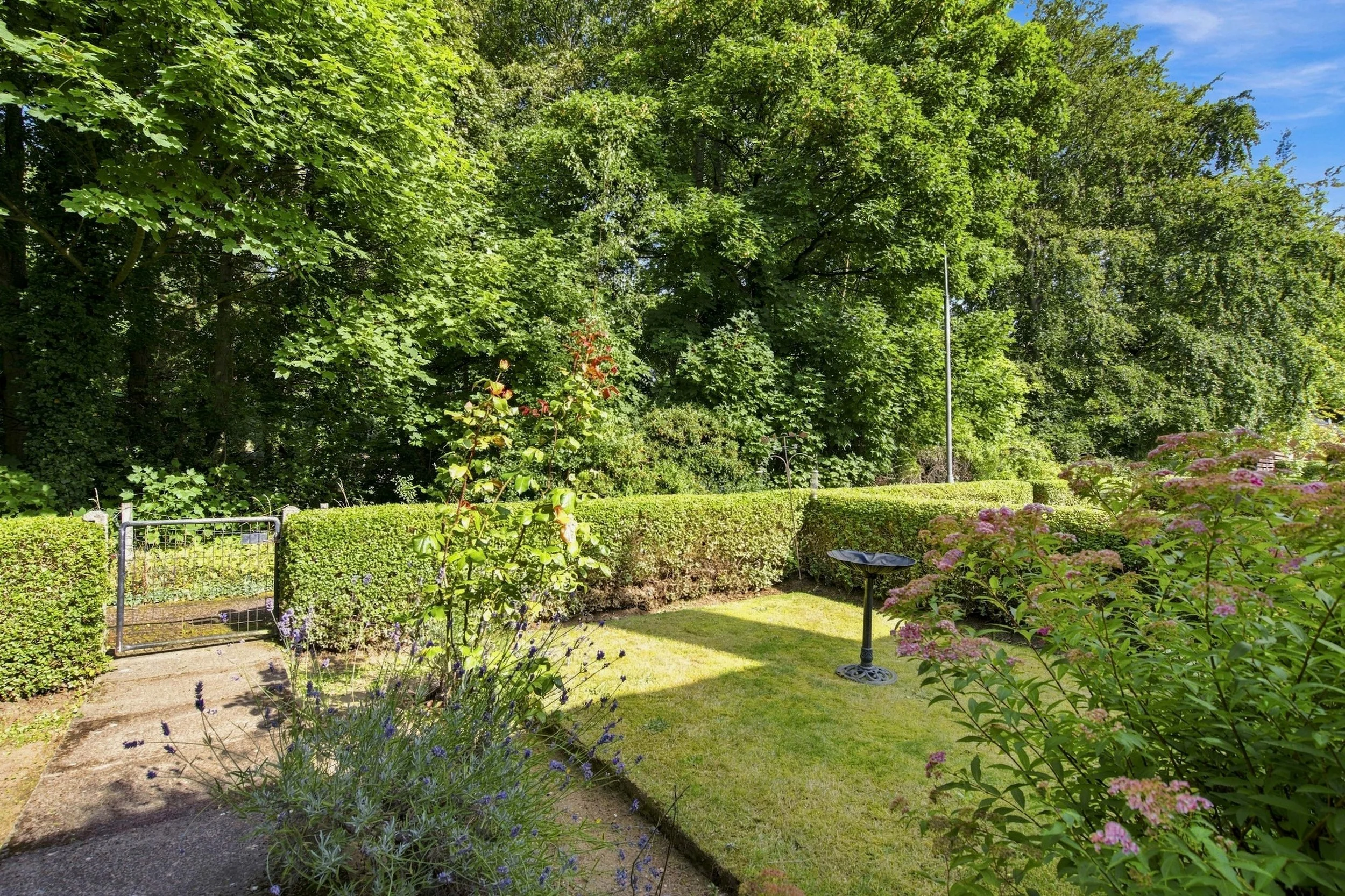 Drone Image-16.jpg