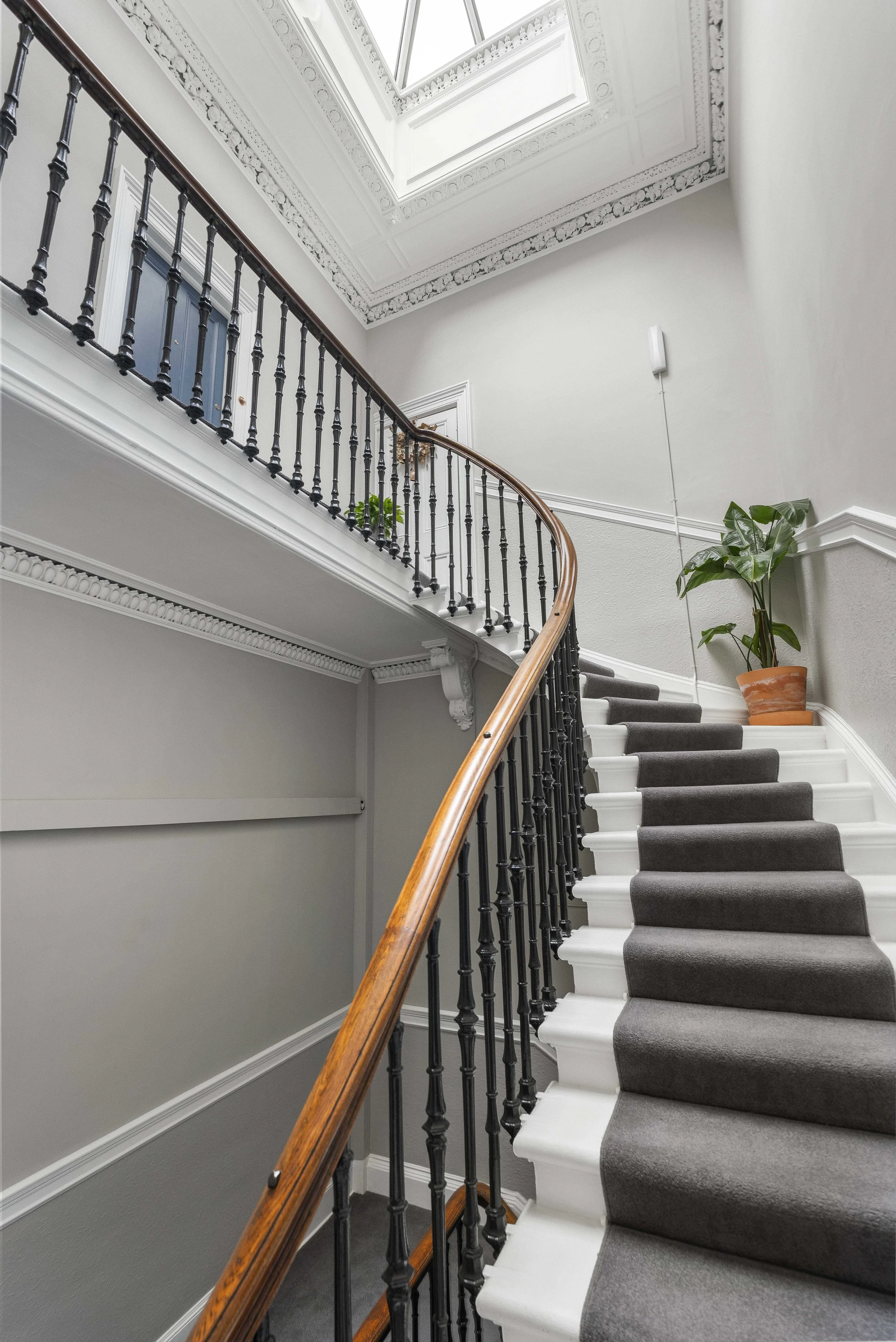 60-3 Palmerston Place-54.jpg