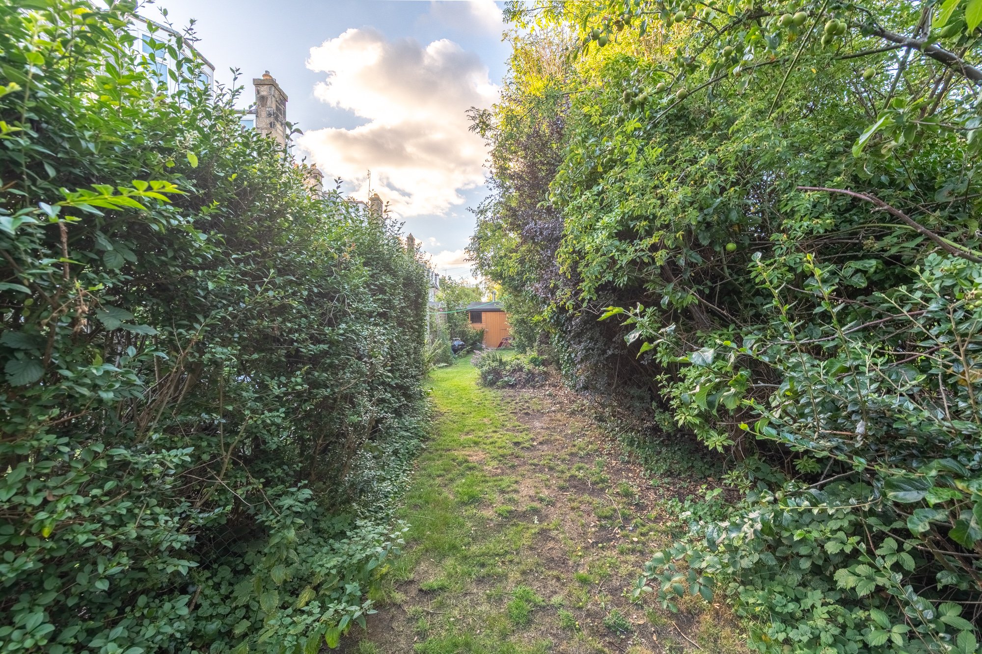 Copy of DSC_2828-HDR.jpg