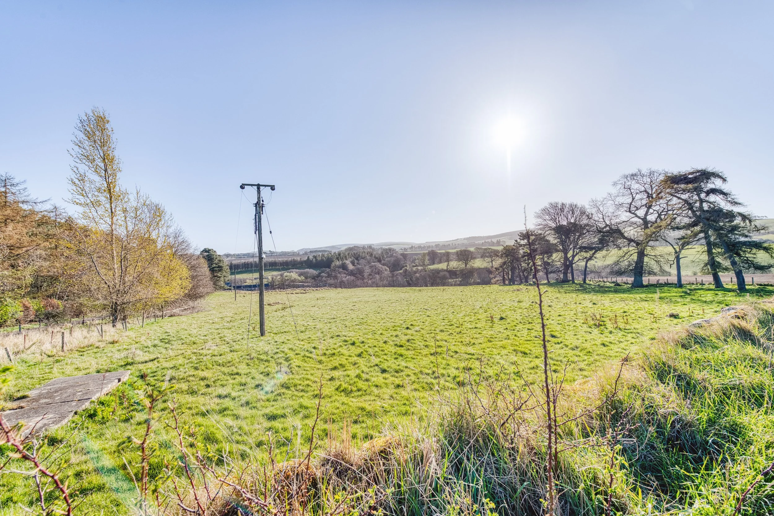 DSC_4553_HDR-4.jpg