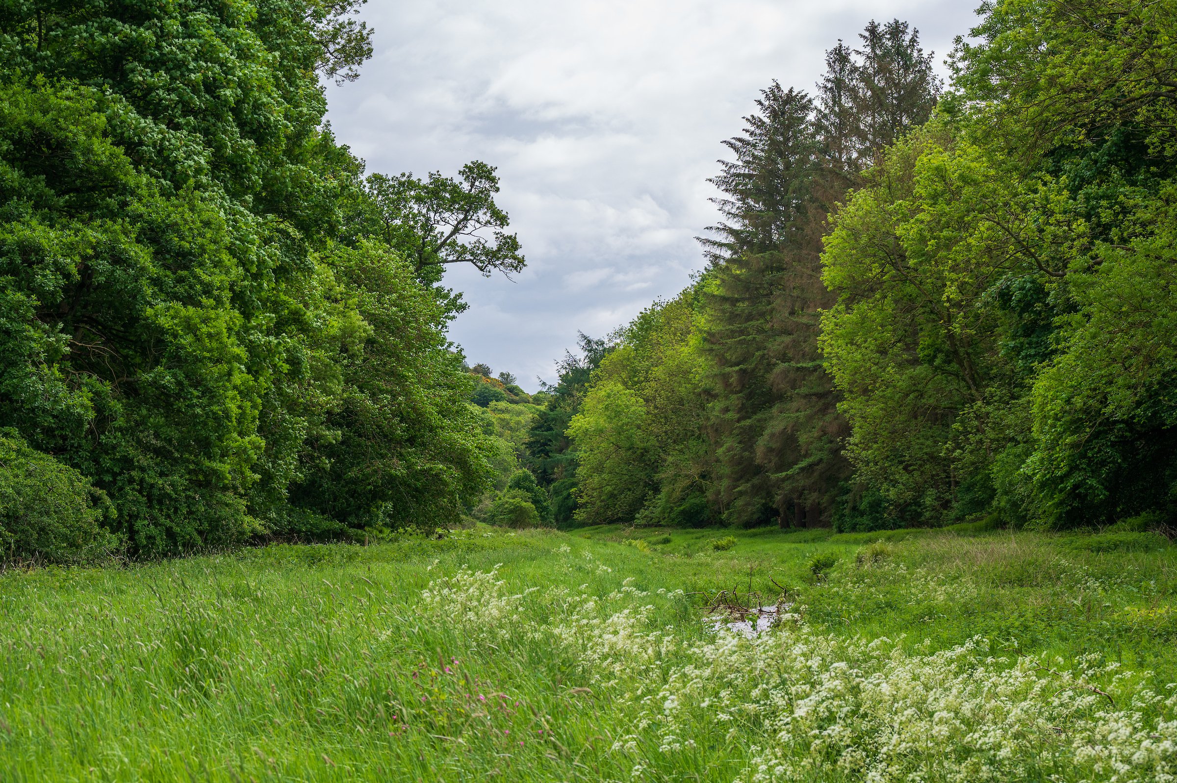 Frizzel Wood House-075.jpg