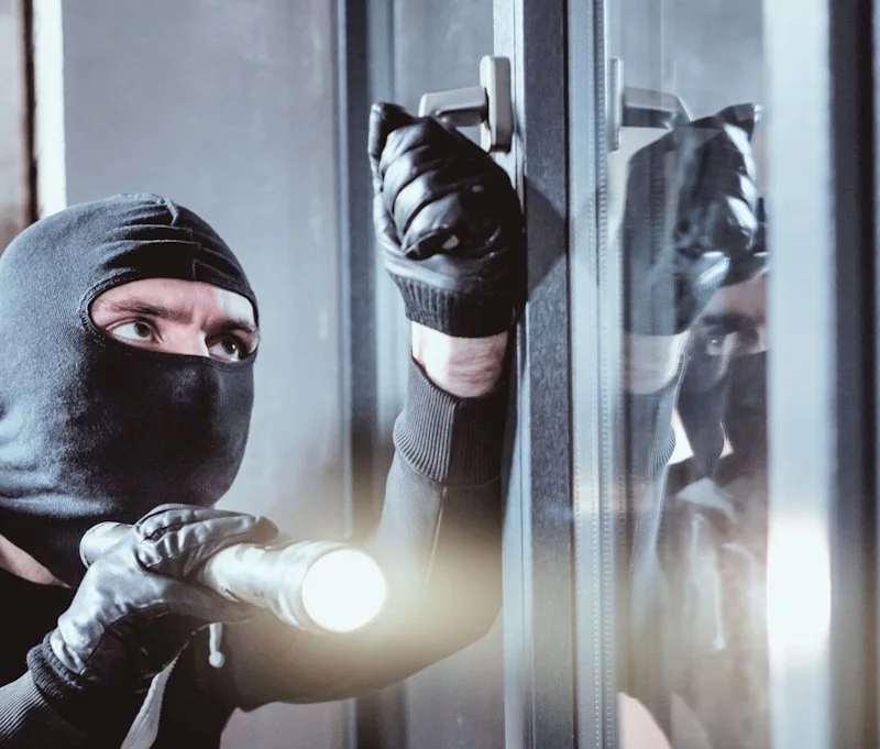 Intruder Alarm Systems 