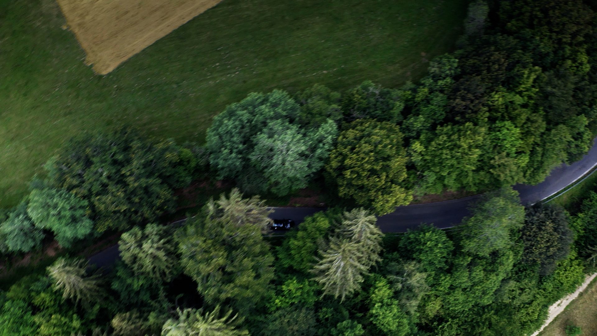 An aerial view of a winding road through a dense forest with various green trees and some open grassy areas.