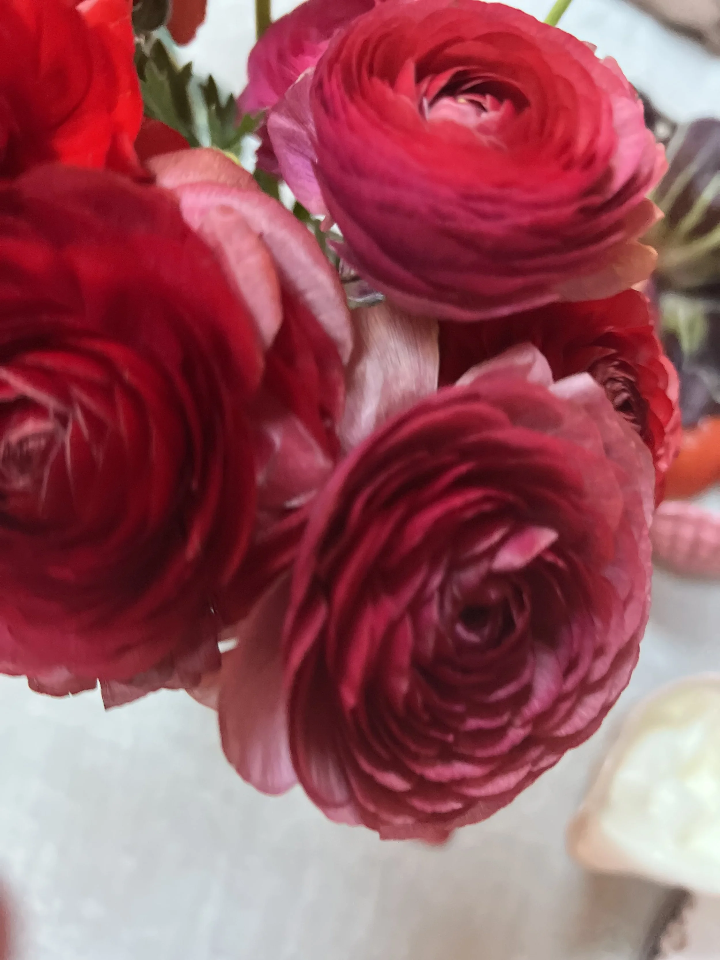 IMG_7144 (1).jpeg