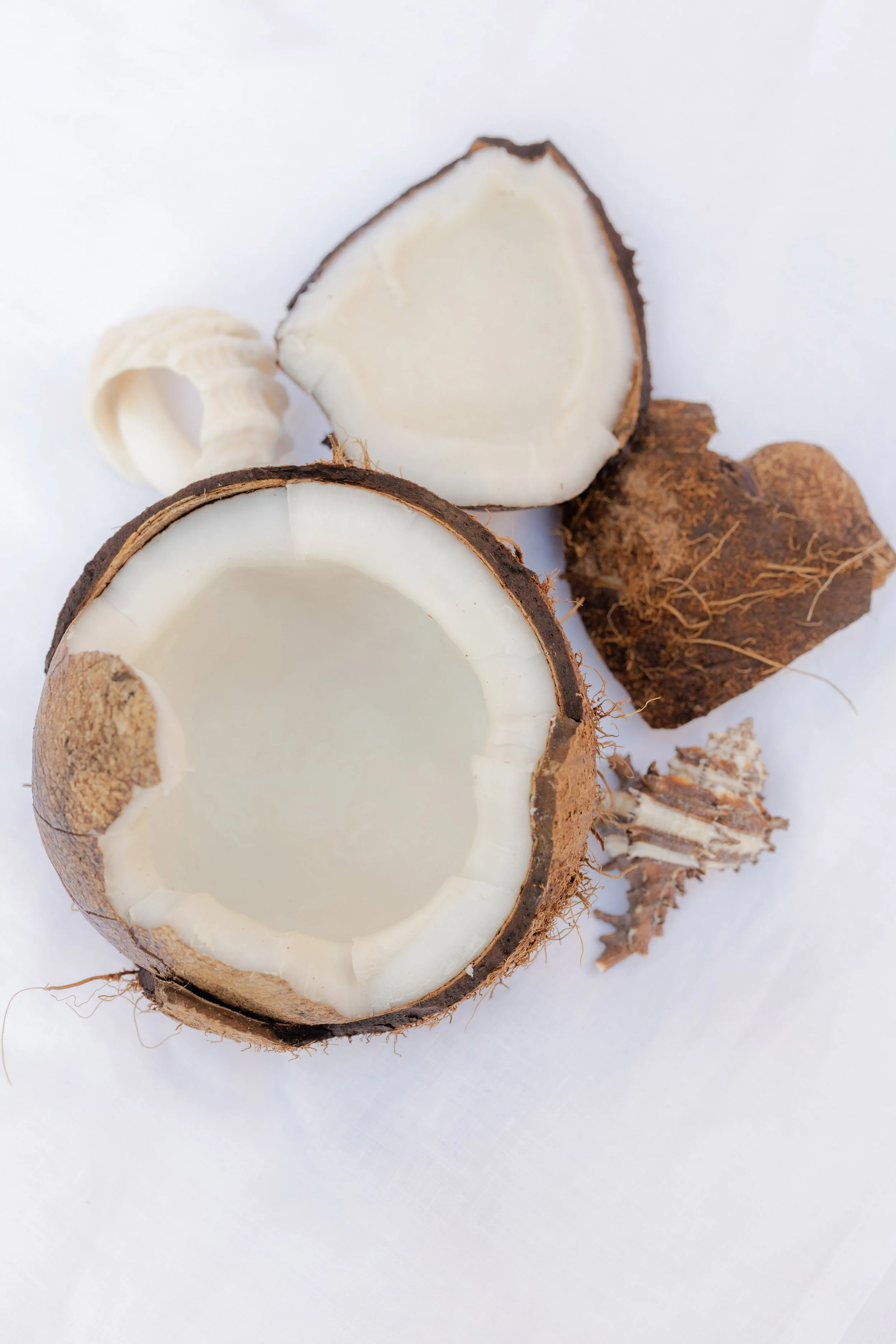 Styling Arch Photoshoot - DZuks - April 2025 - 105.jpg