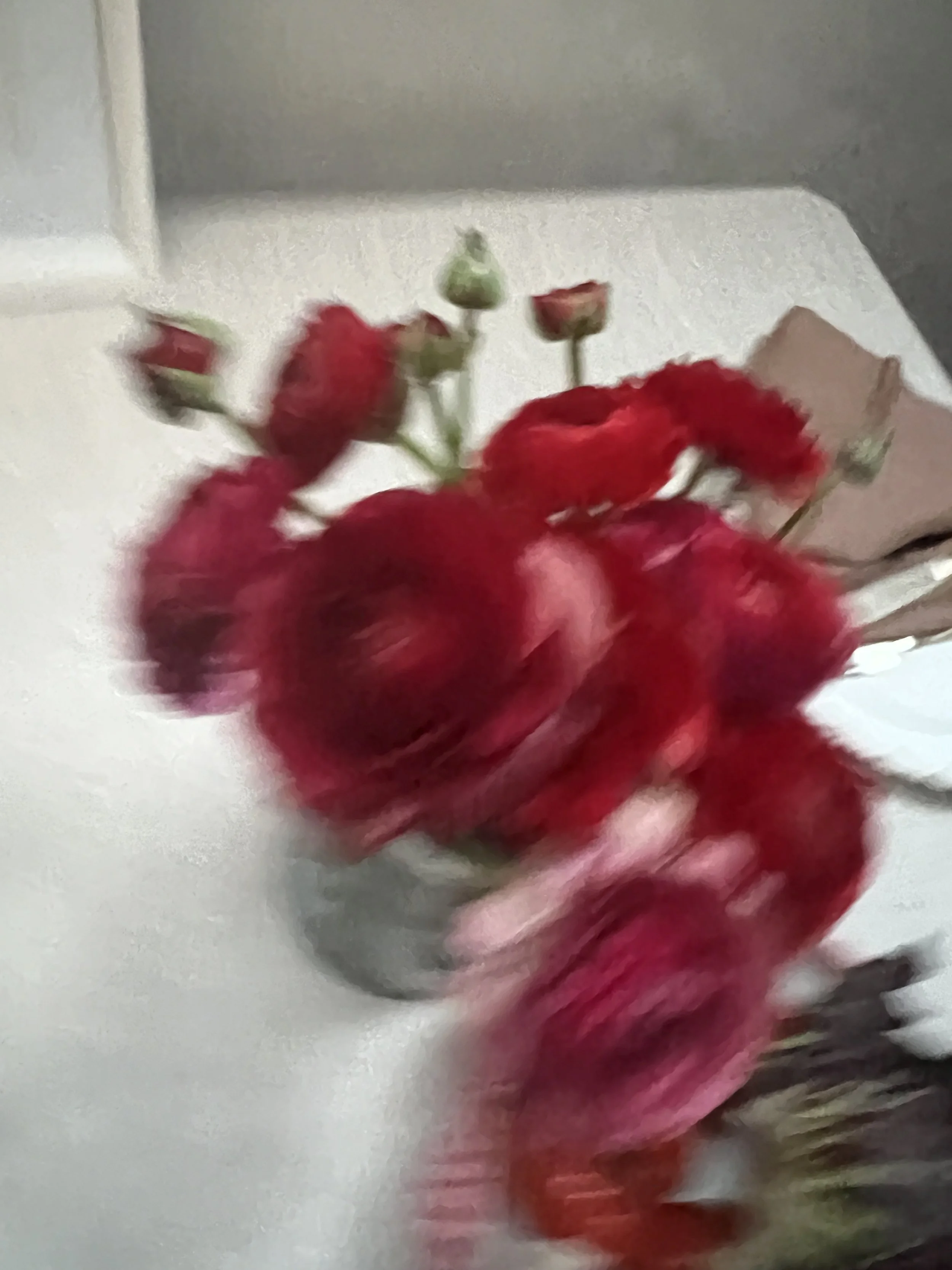 IMG_7447.jpeg