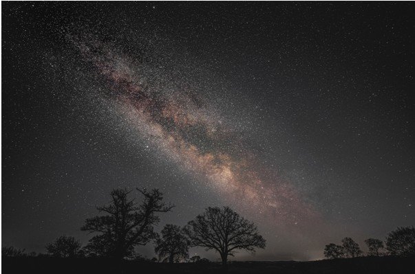 Stargazing - YMS Social Event at York Astronomical Society