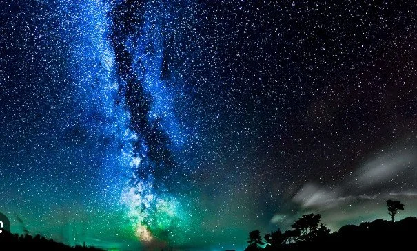 Forged In Stardust: The Search for Life in the Cosmos