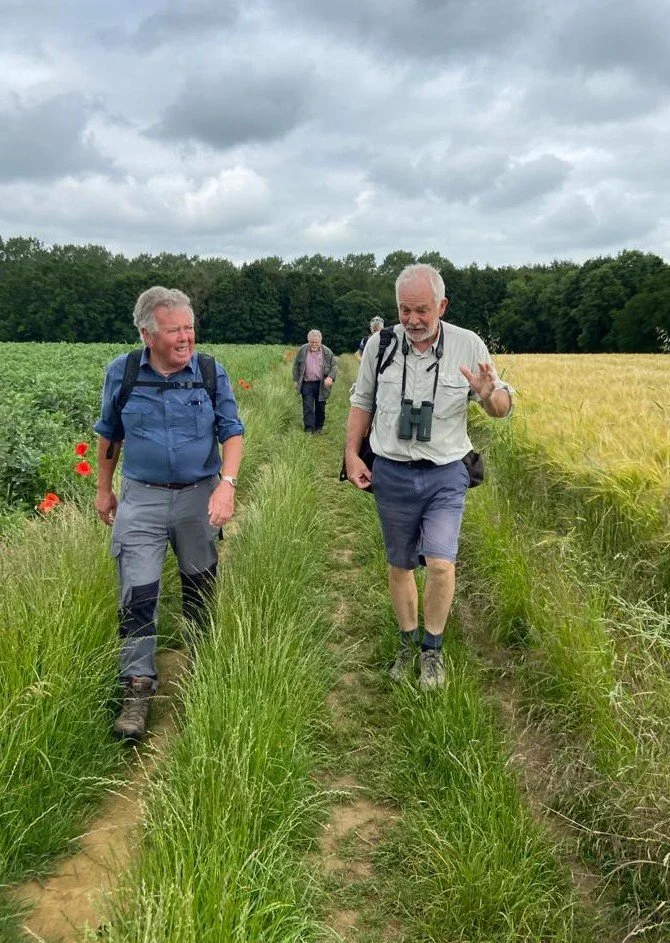 Spring Walk and Pub Lunch