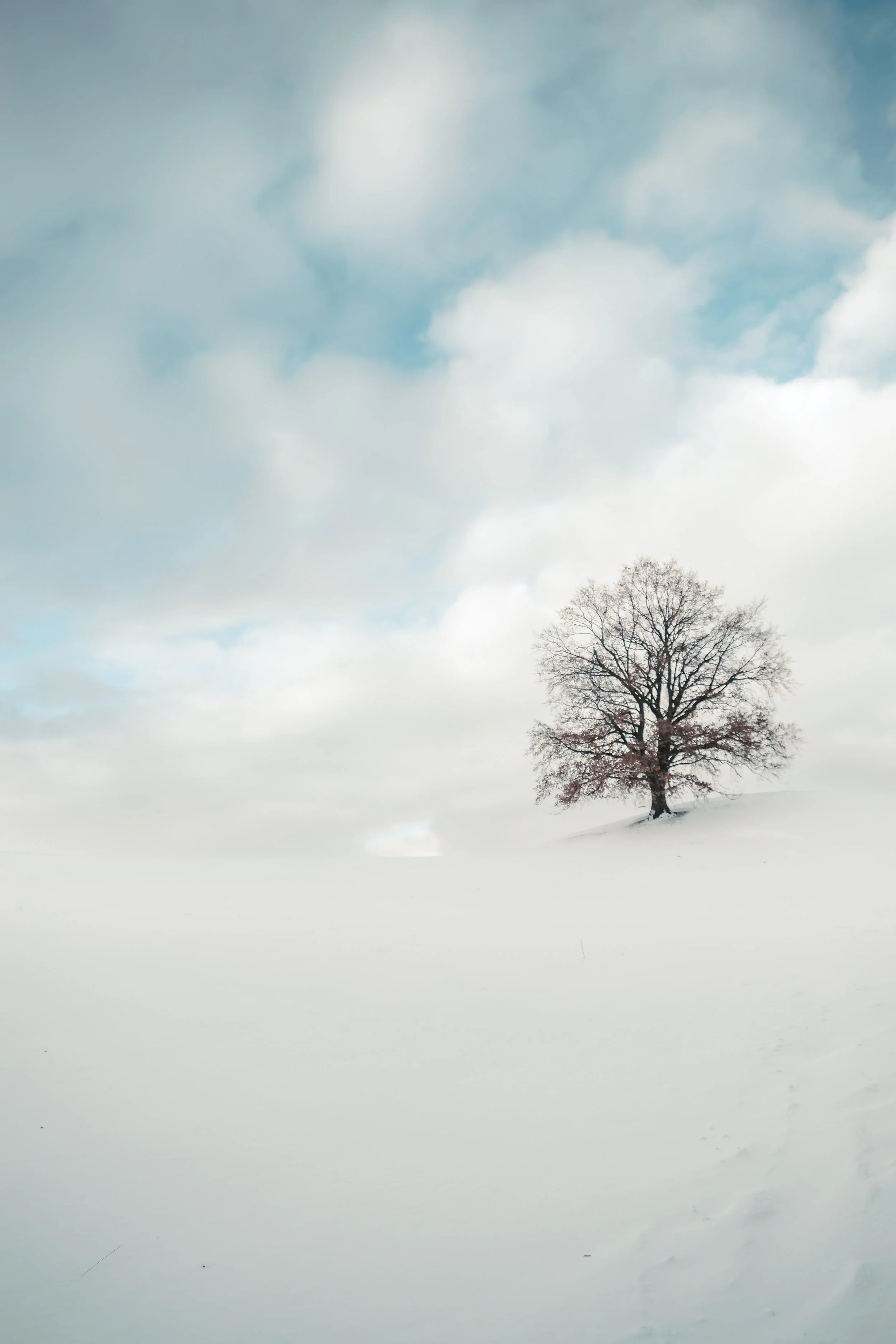 DSC_5900-1.jpg