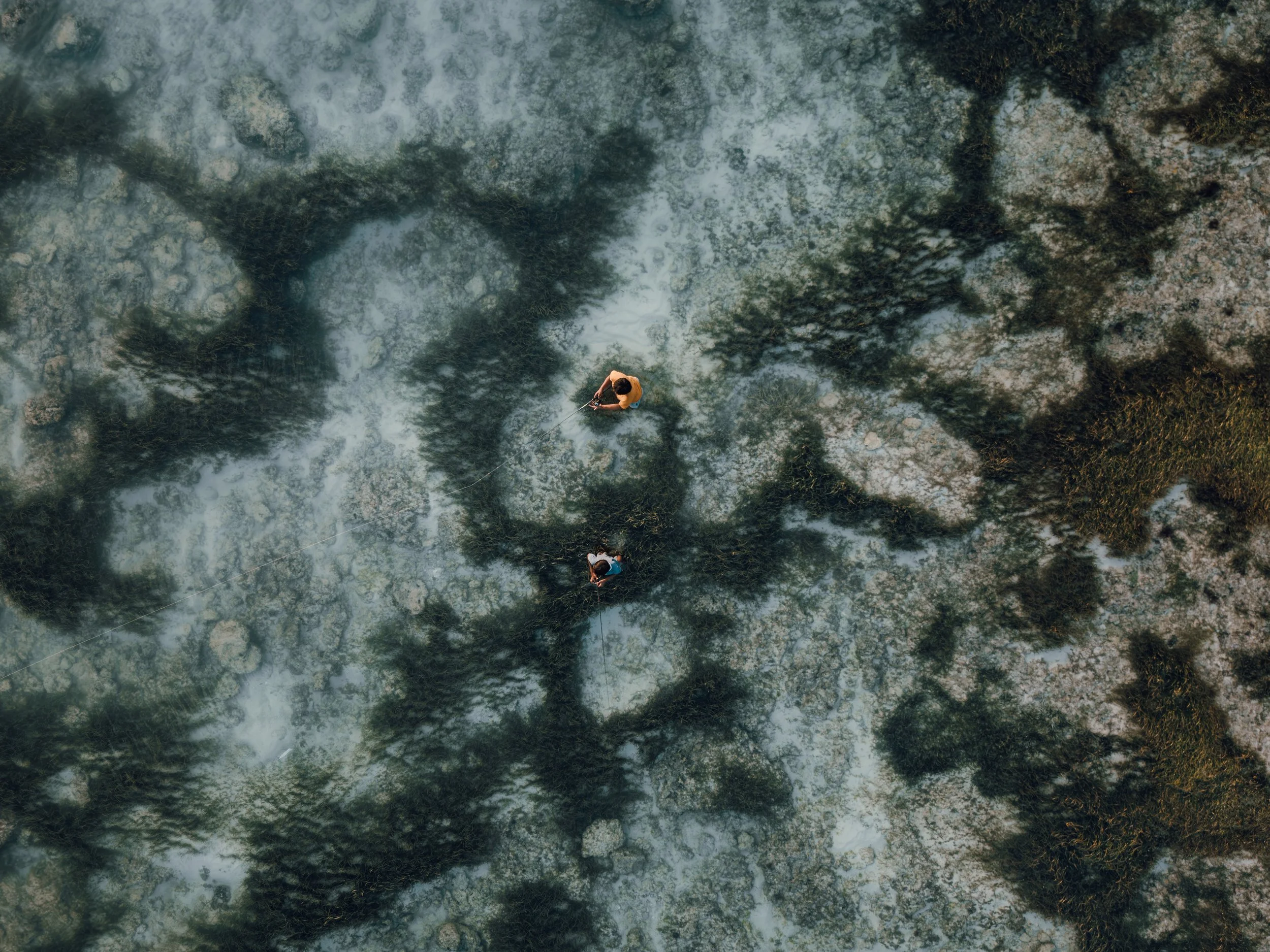 DJI_20250501114256_small.jpg