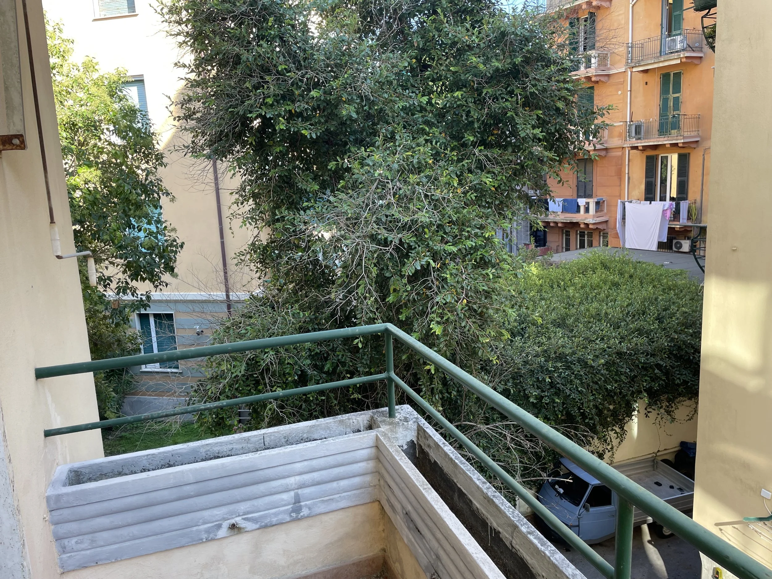 IMG_3236.jpeg