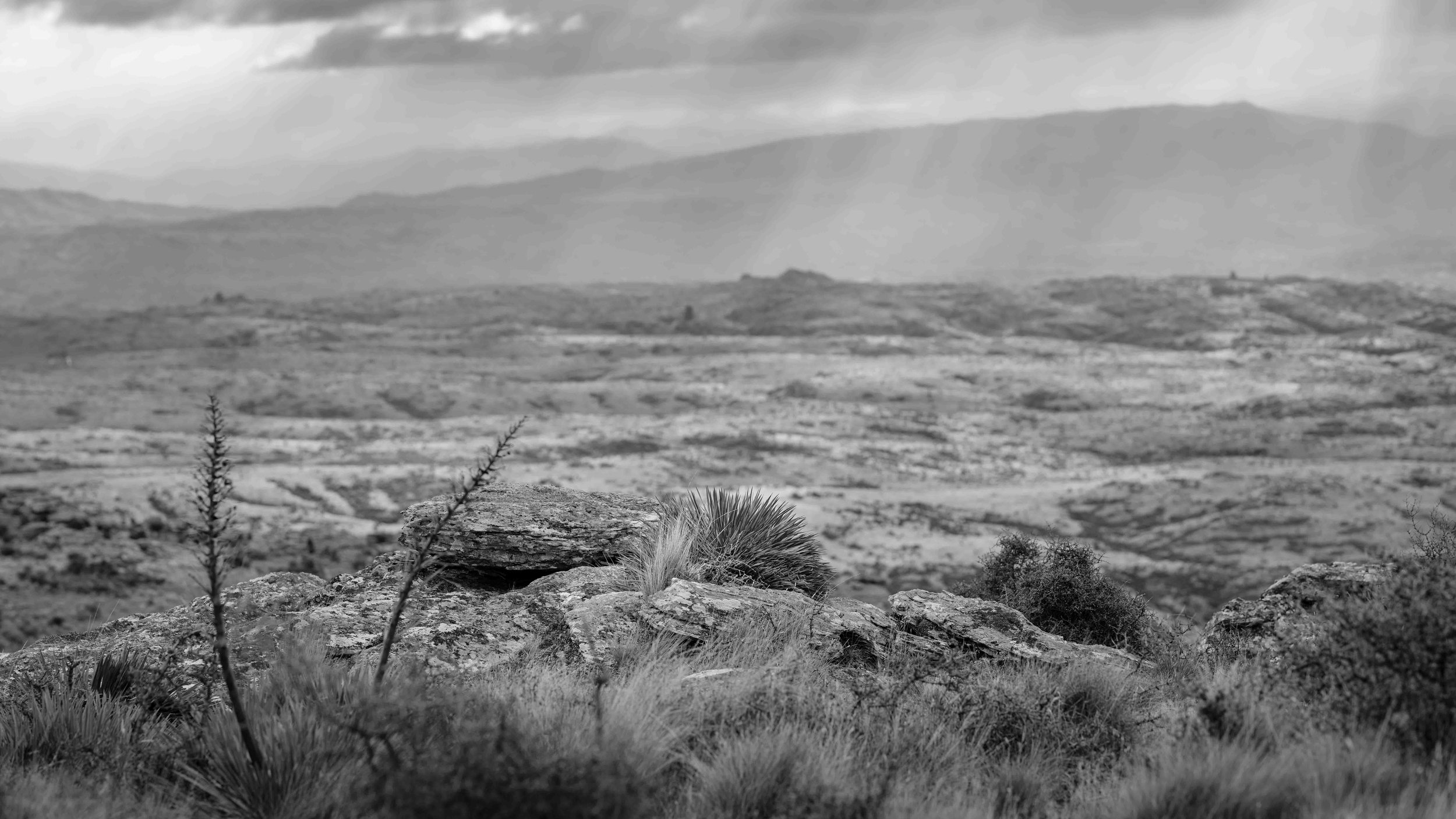 Mt Campbell Station 3.jpg