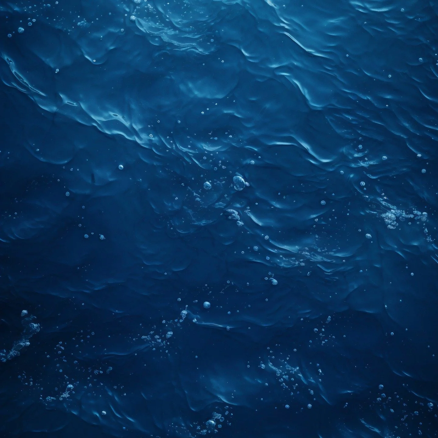 Gr&acirc;ce &agrave; la campagne de crowdfunding que l'on m&egrave;ne actuellement, nous aimerions embarquer &agrave; bord un hydrophone. 

Mais pourquoi un hydrophone? 
Parce que le Monde du Silence de Cousteau n'en ai pas un, loin de l&agrave;. 

S