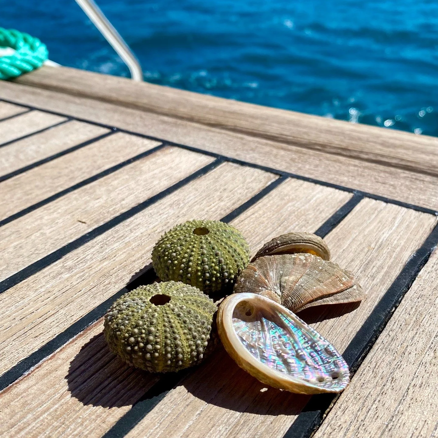 Nous avons r&eacute;cup&eacute;r&eacute; notre tant attendu MaJoCo en Corse, pour le prendre en main et commencer &agrave; le remonter vers Saint-Malo. 

La M&eacute;diterran&eacute;e est vraiment magnifique, avec son eau d'un bleu si profond qu'on n