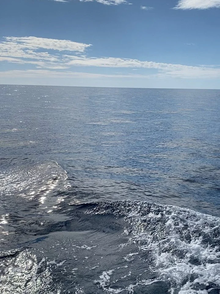 Premi&egrave;re &eacute;tape pour nous avec MaJoCo, avec une travers&eacute;e de la M&eacute;diterran&eacute;e et du Golf du Lion dans des conditions muscl&eacute;es ! 

On a fait des pointes &agrave; 15/16 noeuds, sous 2 ris Grand Voile et Trinquett