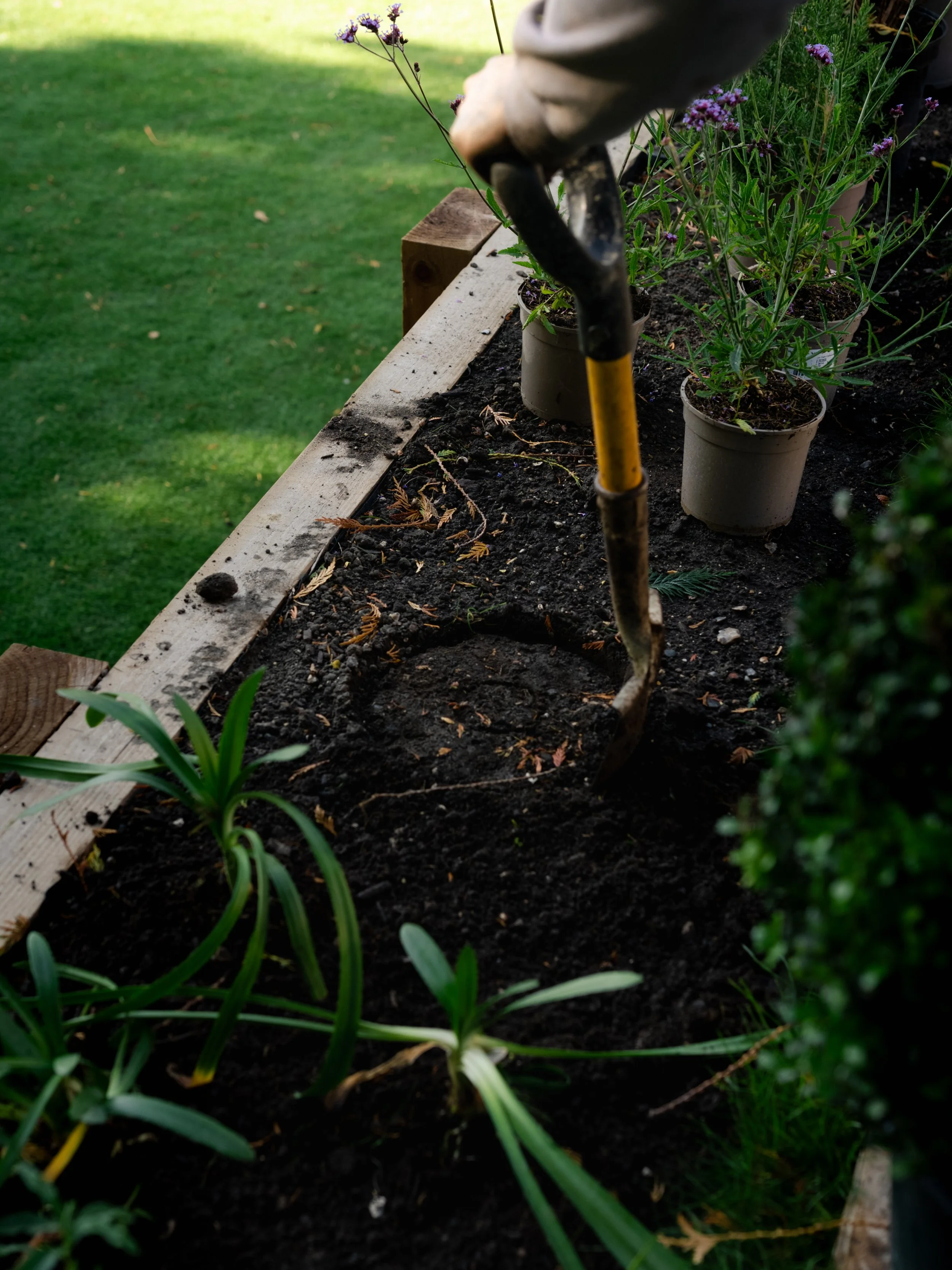 How to Prepare Your Garden for Spring: A Complete Guide