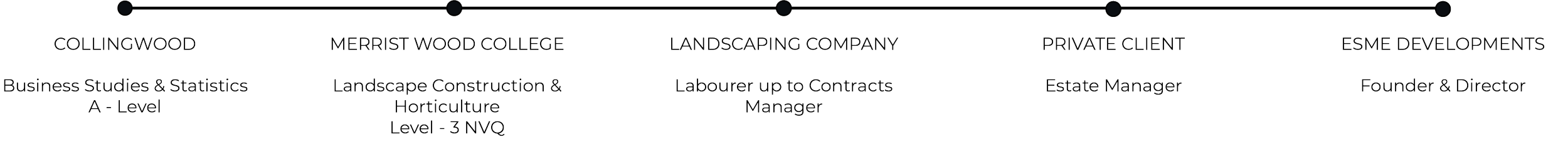 George Whalley career timeline. Founder and Director of Esme Developments - Expert landscapers and garden designers in Surrey, Hampshire, Berkshire, Camberley, London and surrounding areas.
