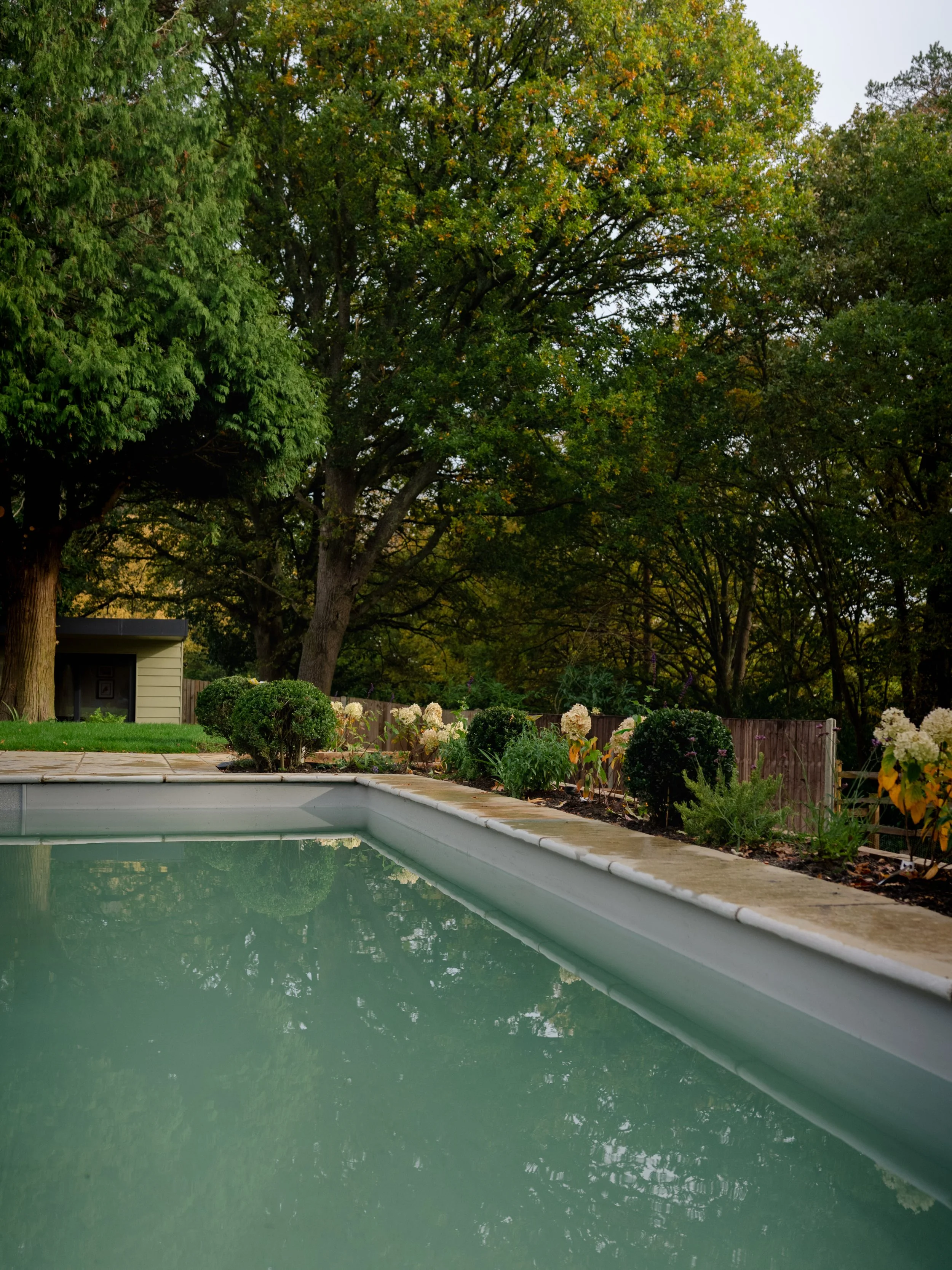 A backyard swimming pool with calm water, surrounded by a garden with bushes, flowers, and tall trees in the background, during daytime.