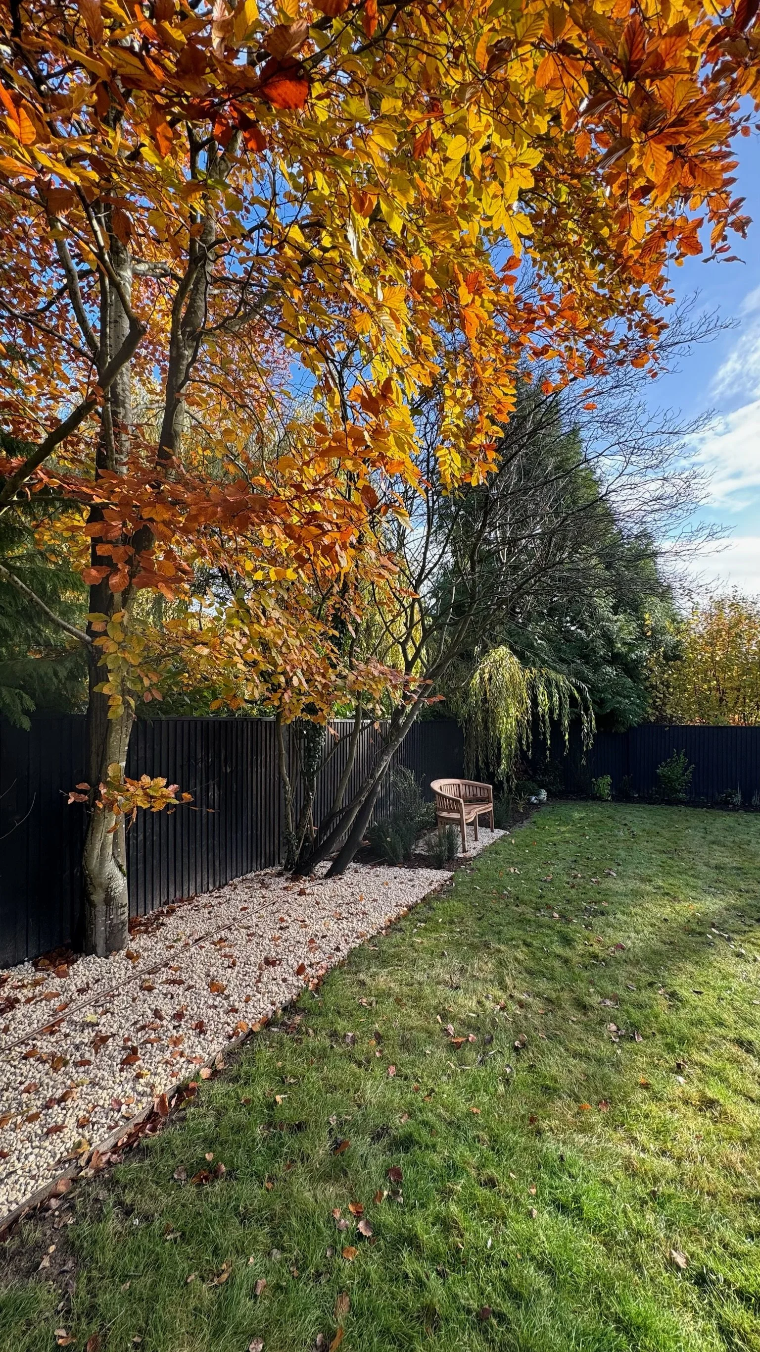 A backyard garden during autumn with trees, a green lawn, a wooden bench, and a black fence. Esme are a widely trusted garden design and landscaping company serving surrey, hampshire, berkshire, ascot, london and surrounding areas.