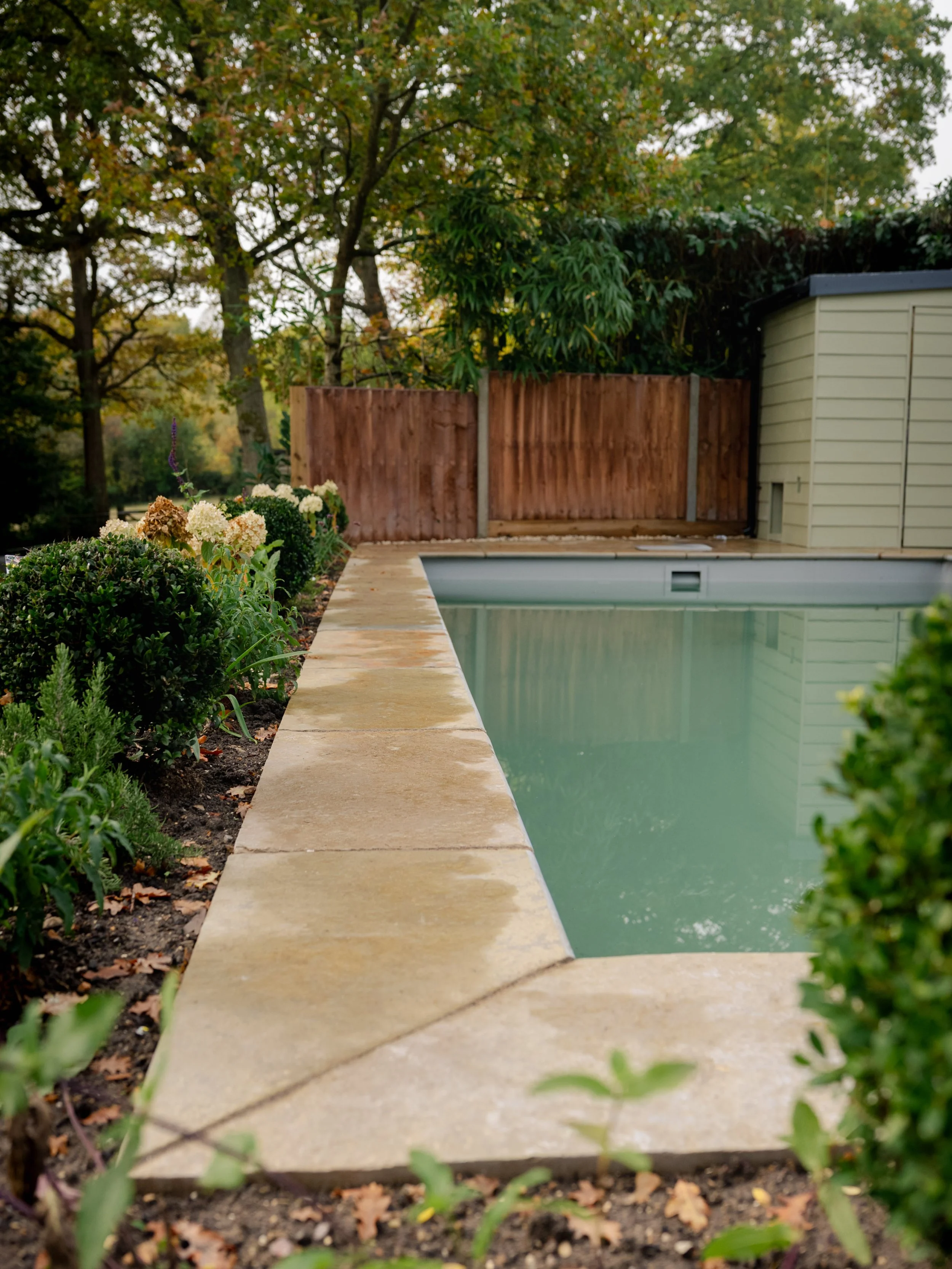 A backyard with a swimming pool, stone walkway, and landscaped garden with bushes and flowers, enclosed by a wooden fence and surrounded by trees.