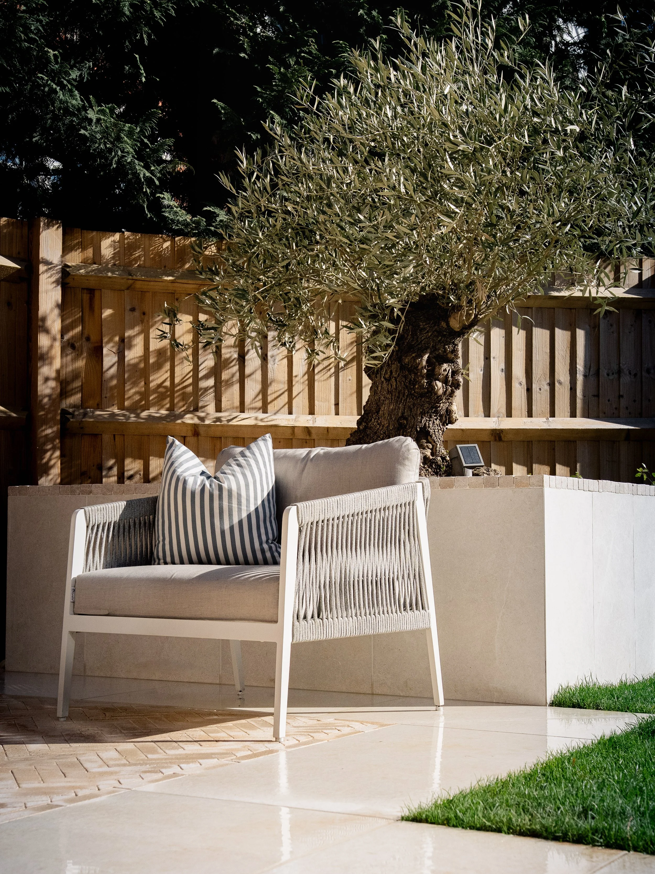 A modern outdoor patio with a bespoke planter for an olive tree and a wooden fence in the background. Expert landscapers and garden designers in Surrey, Hampshire, Berkshire, Camberley, London and surrounding areas.
