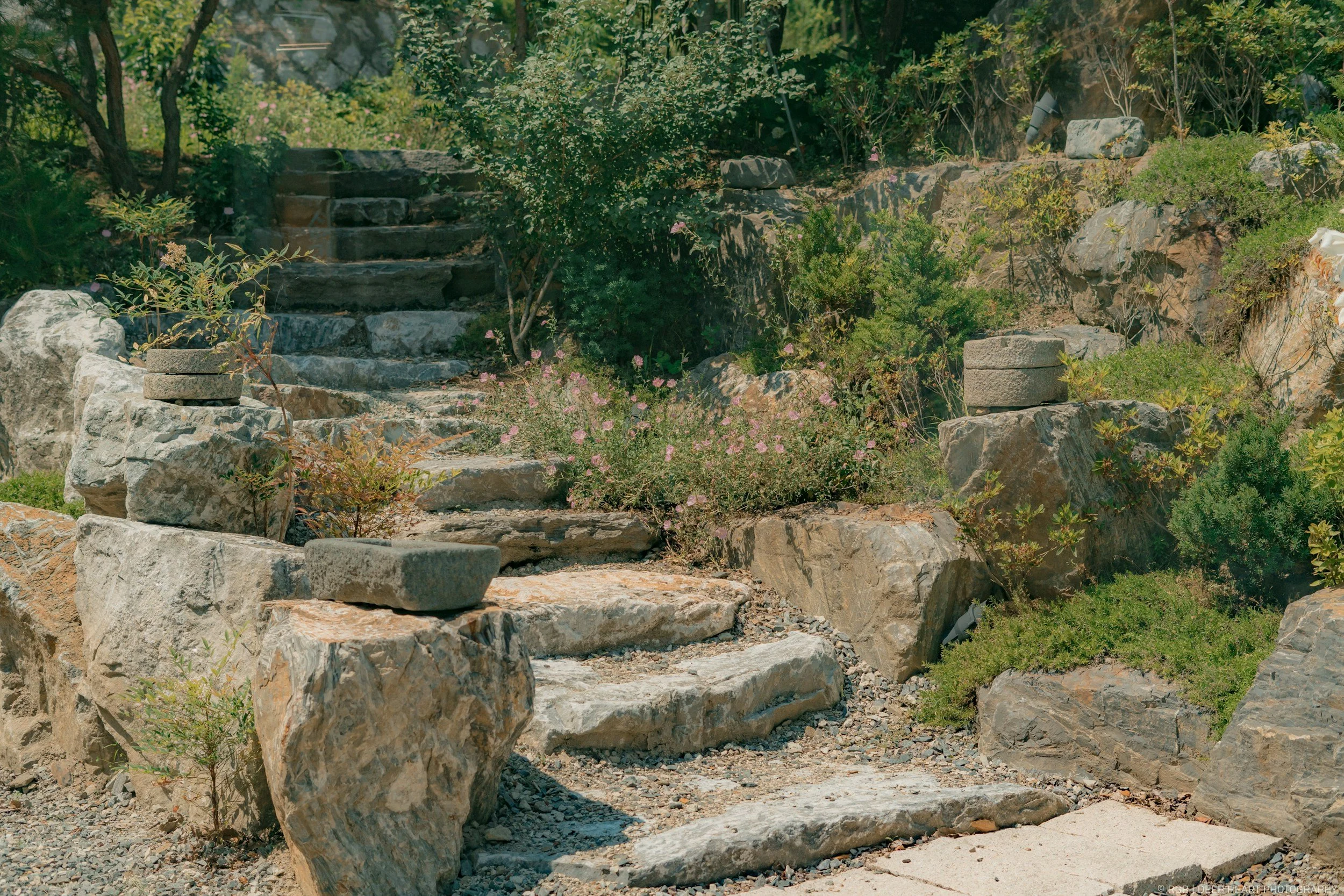 Steinstufen in einem Garten mit grünen Sträuchern, kleinen Pflanzen und pinkfarbenen Blumen, umgeben von großen Steinen und Kies.