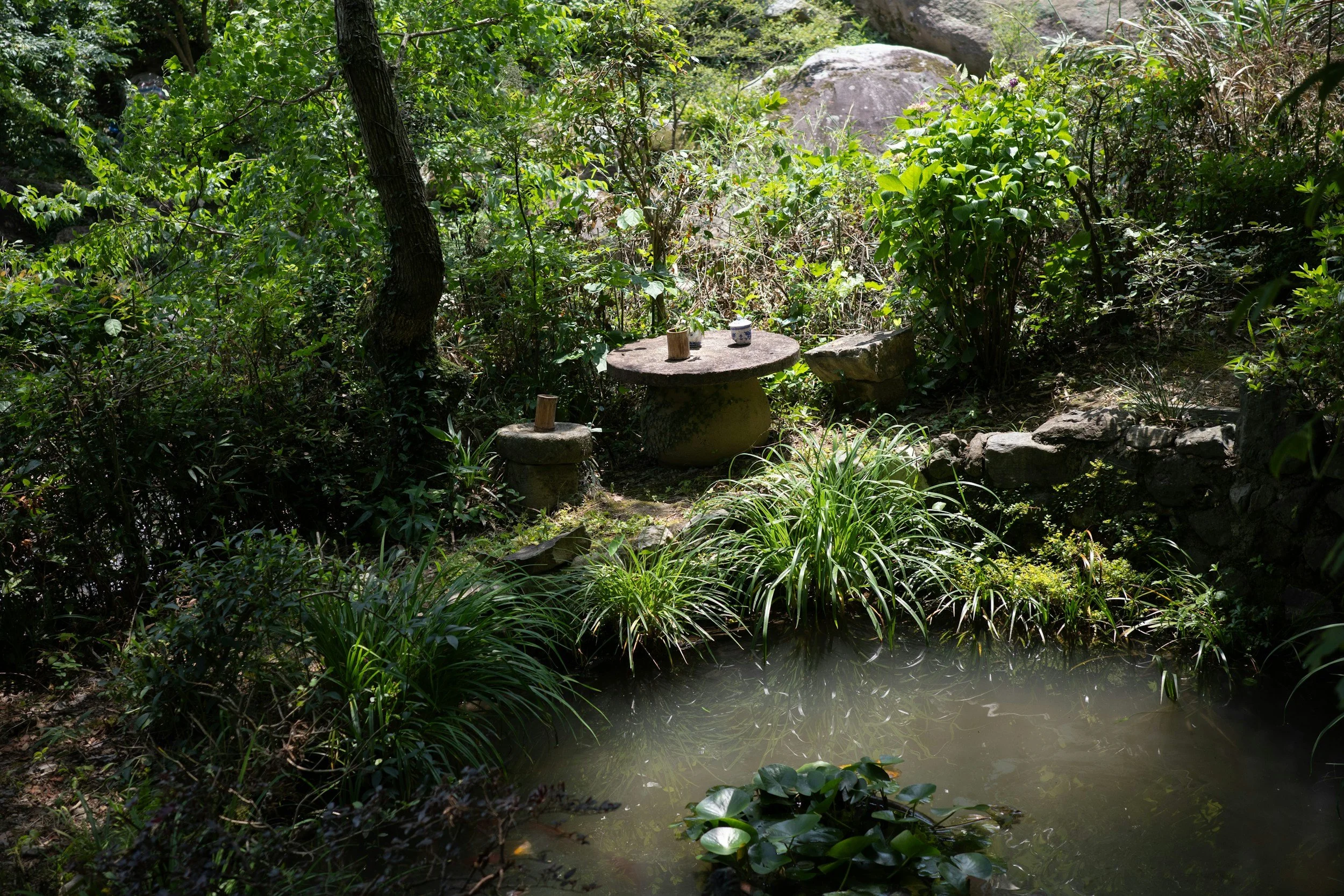 Ein kleiner Wasserteich in einem üppigen, grünen Garten mit Steinen und Pflanzen, ein runder Holztisch mit Kerzen und Tassen
