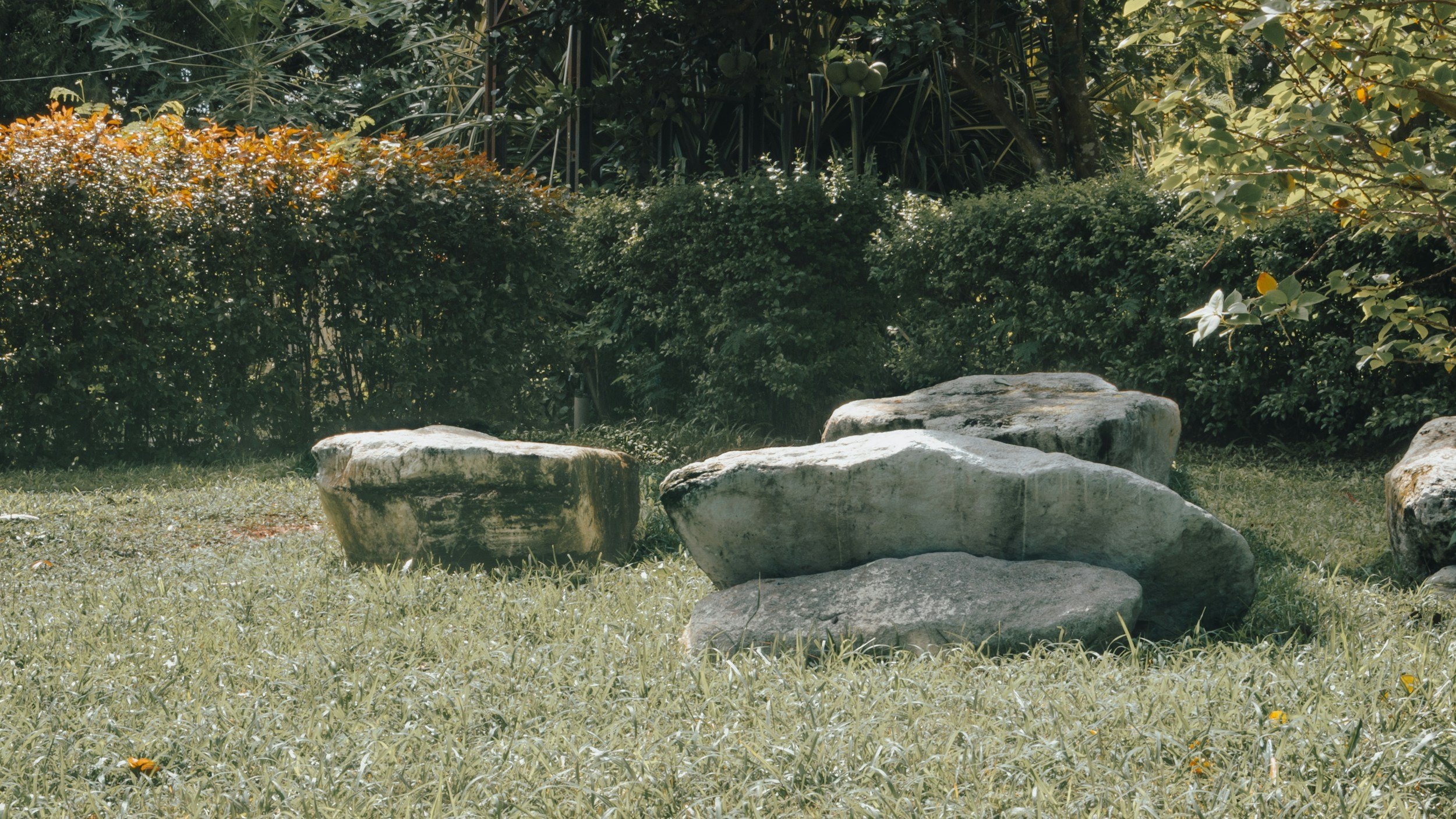 Steinbrocken auf grünem Rasen vor Busch und Bäumen im Garten.