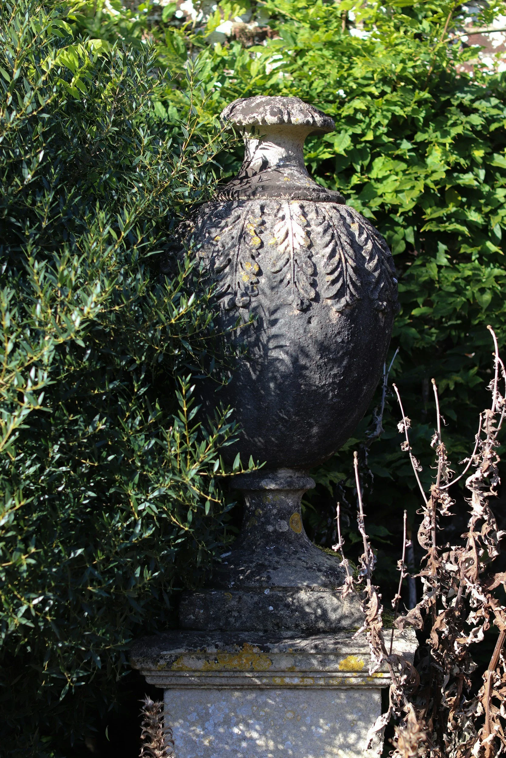 Ein alter, verzierter Steinobelisk mit Blätterrelief, umwoben von grünen und trockenen Pflanzen