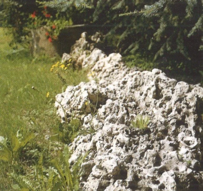 Felsformation am Ufer eines Sees mit Bäumen im Hintergrund, grüner Rasen im Vordergrund.