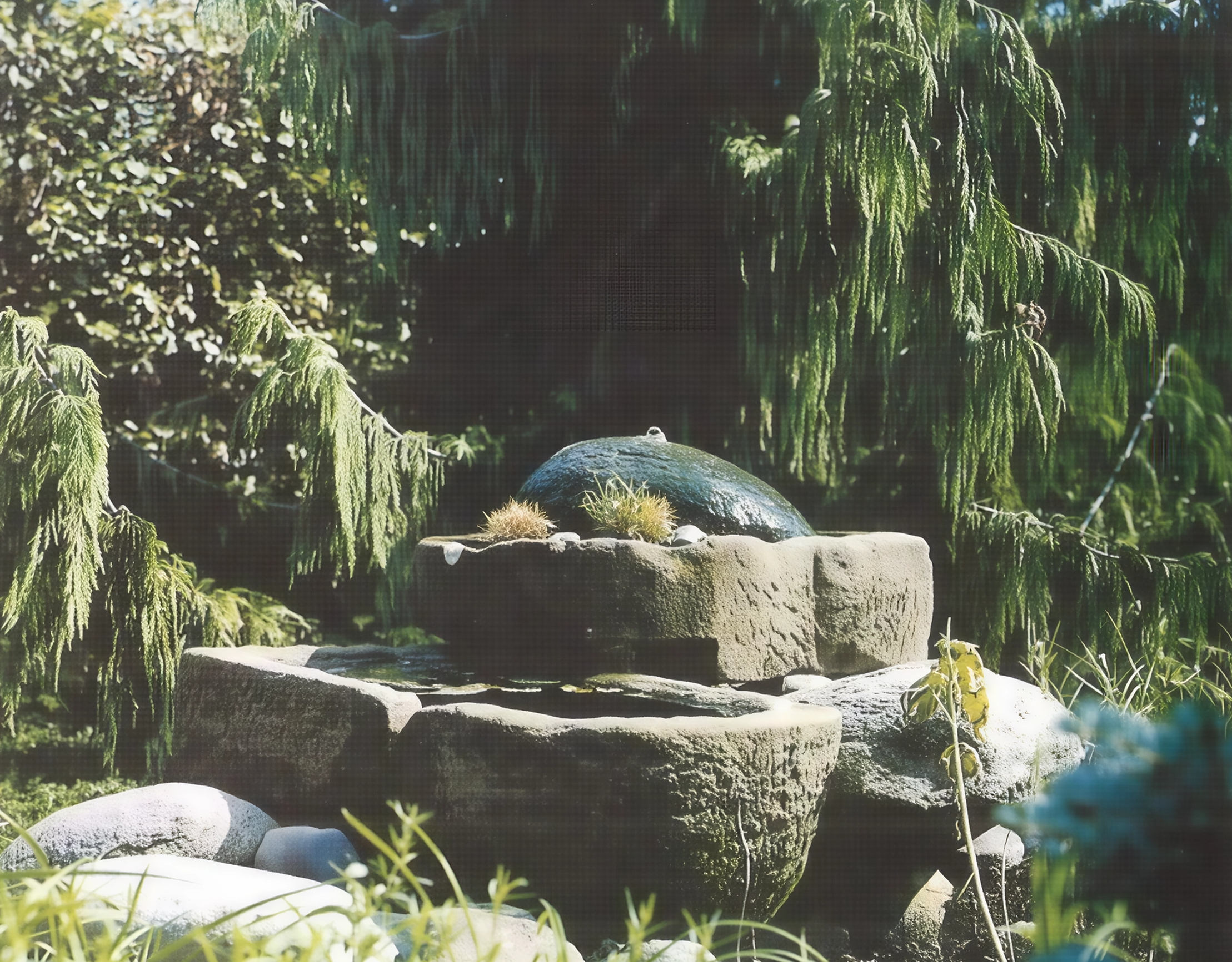 Ein grüner Wasserbrunnen in einem Garten, umgeben von Bäumen und Pflanzen.