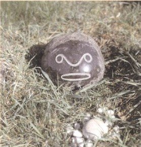 Ein Stein mit einem bemalten Gesicht und einer Schnurrbart-ähnlichen Linie, in trockenem Gras liegend, im Vordergrund kleine weiße Steine.