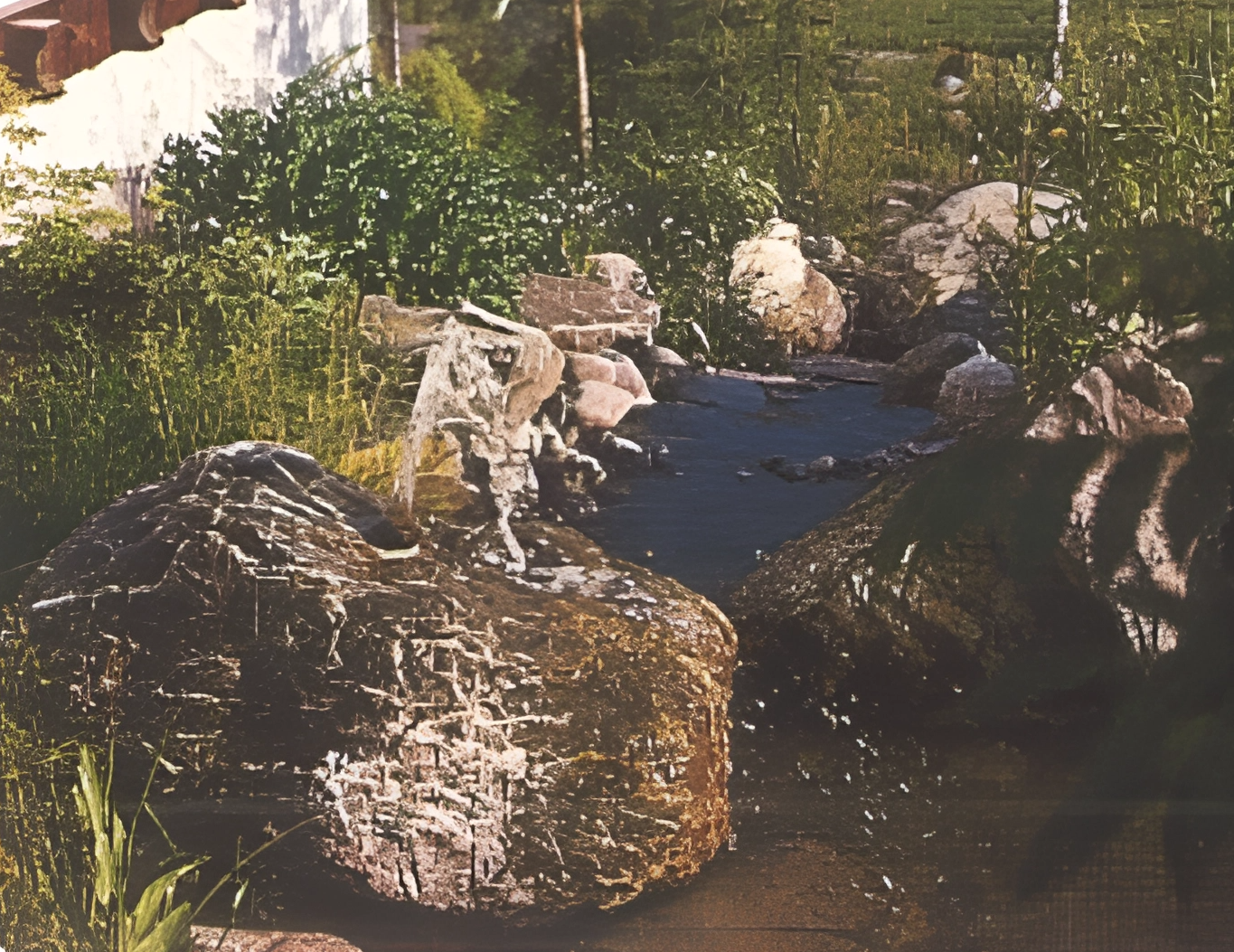 Ein Fluss fließt durch eine grüne, bewaldete Landschaft mit großen Steinen am Ufer.